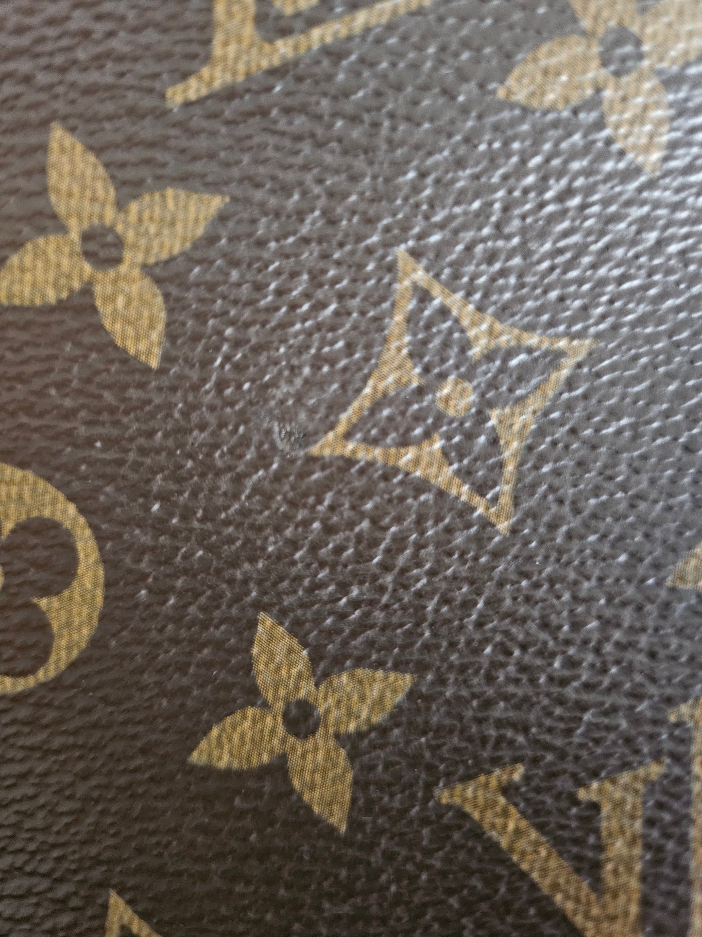 Louis Vuitton Pallas clutch