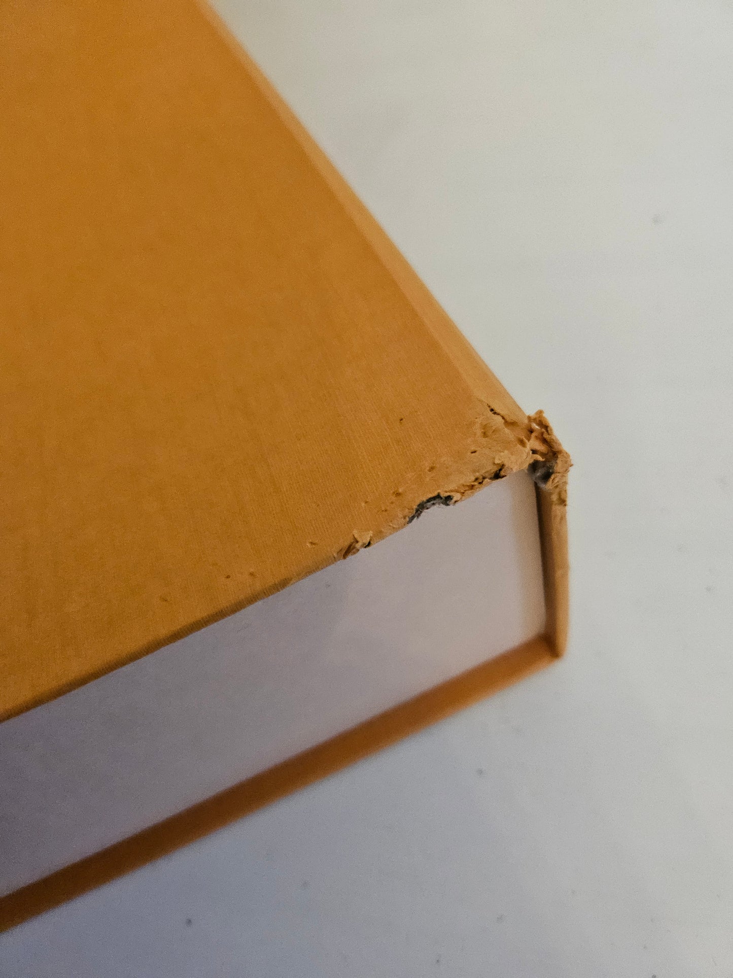 Louis Vuitton Neverfull MM Monogram