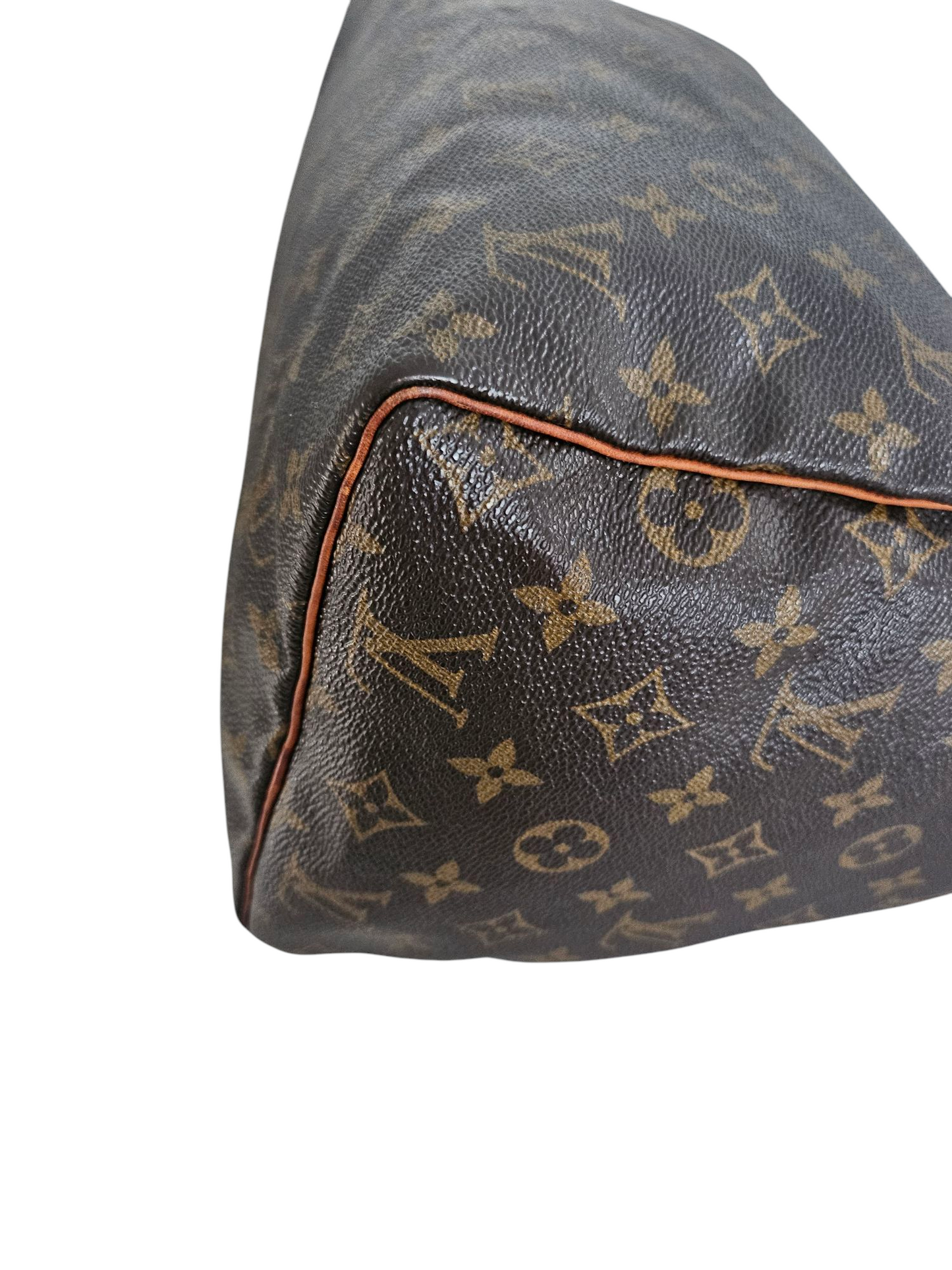 Louis Vuitton Speedy 30 Monogram