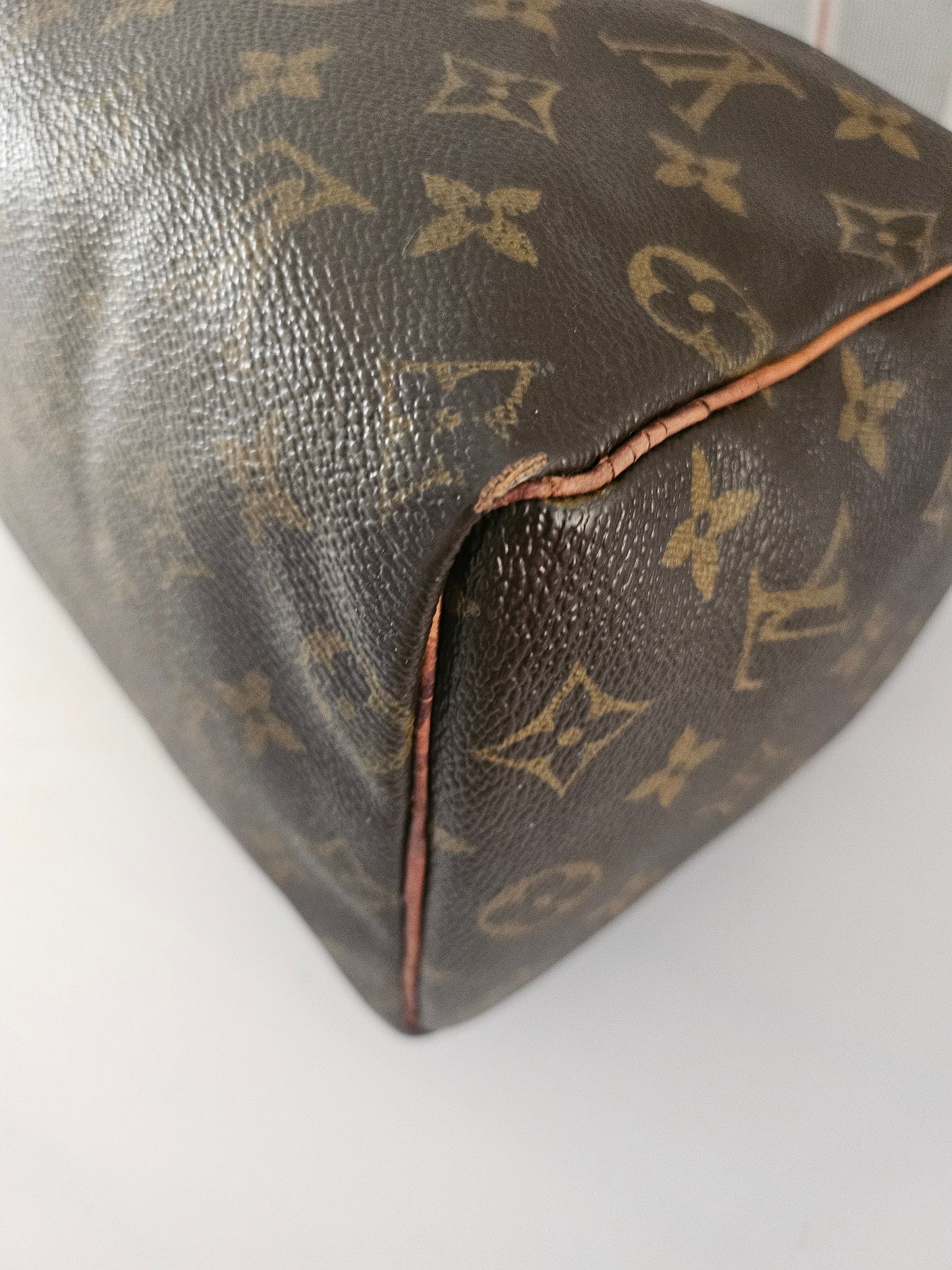 Louis Vuitton Speedy 25