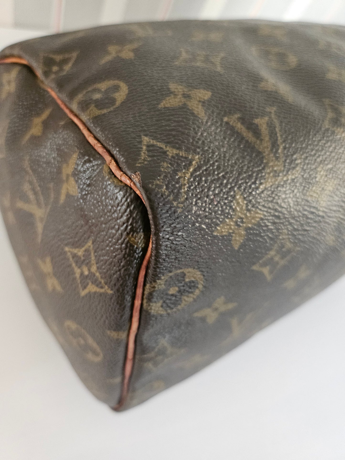 Louis Vuitton Speedy 25