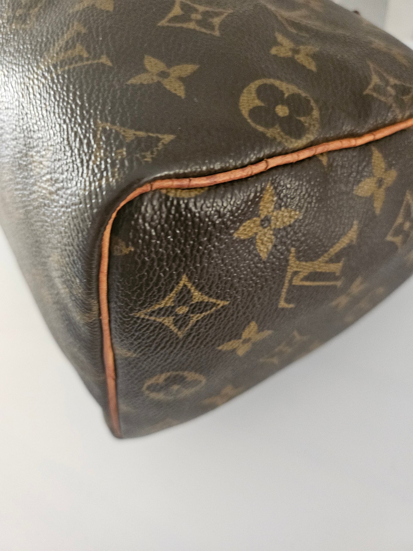 Louis Vuitton Speedy 25