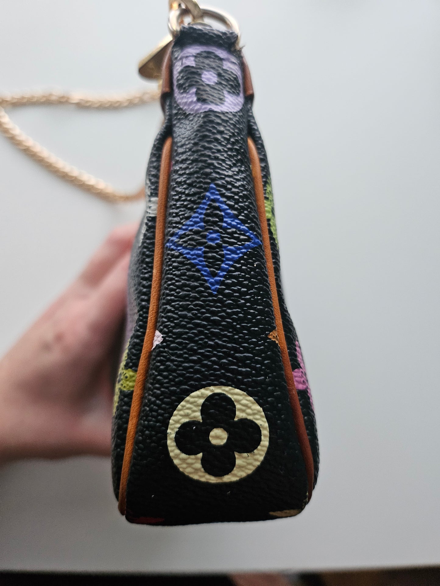 Louis Vuitton Pochette Accessoires Multicolor