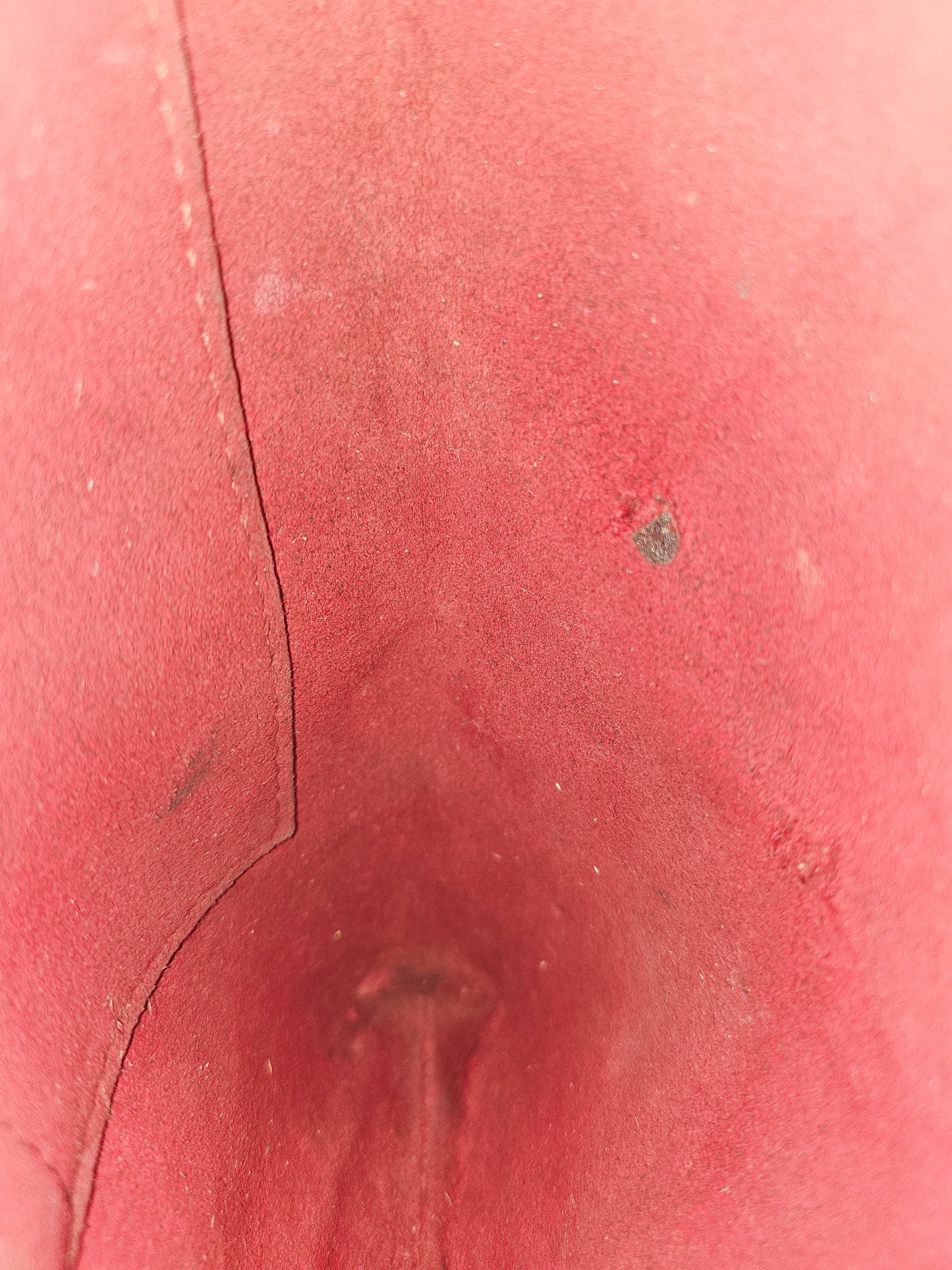 Louis Vuitton Kate clutch