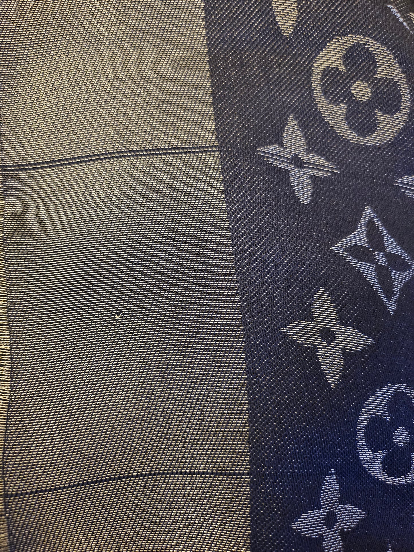 Louis Vuitton Shine Shawl