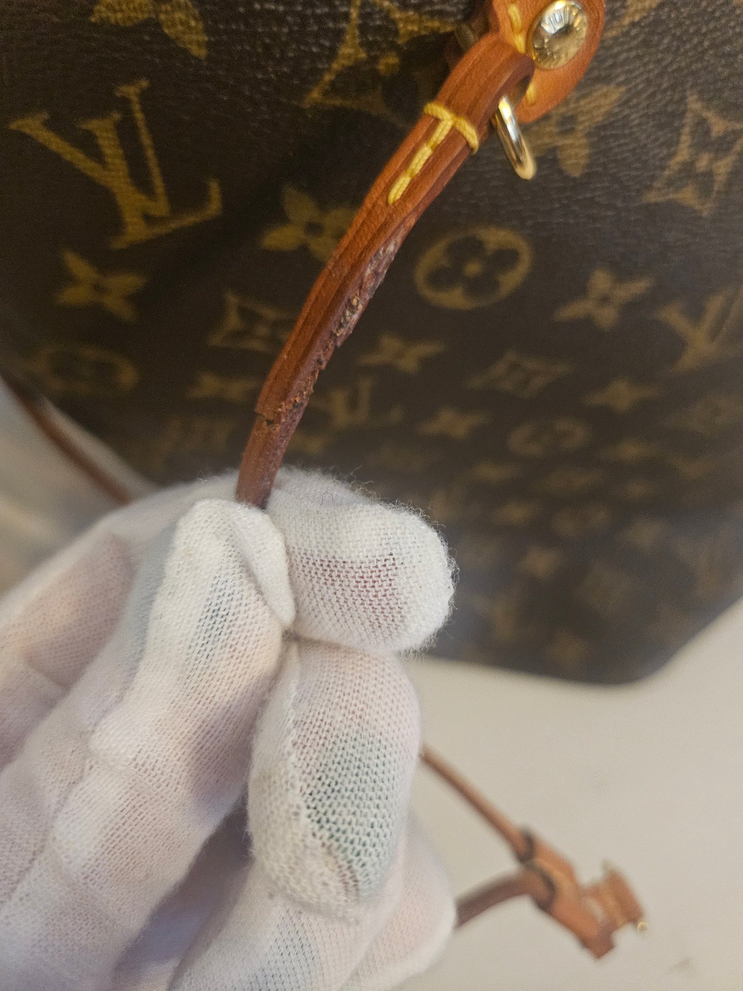 Louis Vuitton Neverfull GM