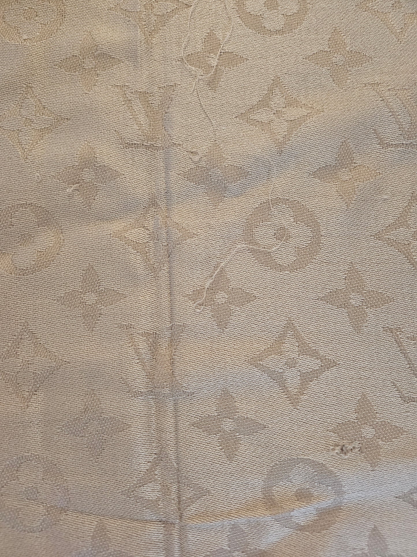 Louis Vuitton Shawl Monogram
