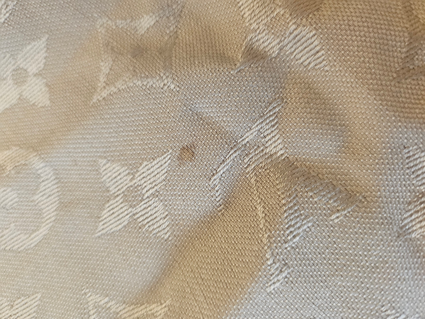 Louis Vuitton Shawl Monogram