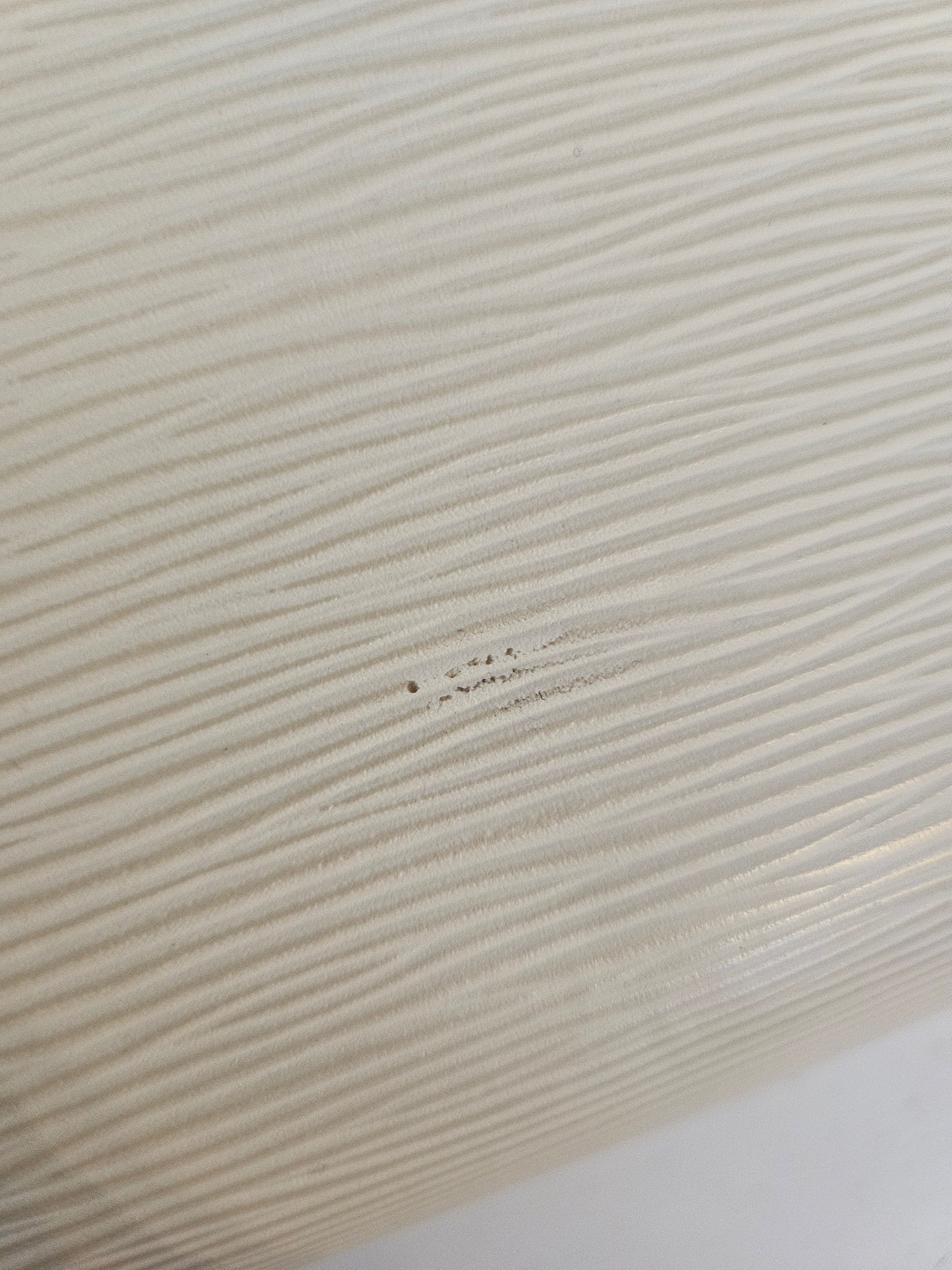 Louis Vuitton Speedy 25 Epi