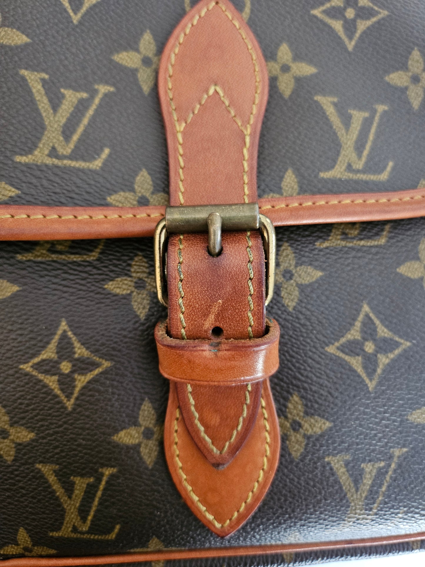 Louis Vuitton Gibeciere GM