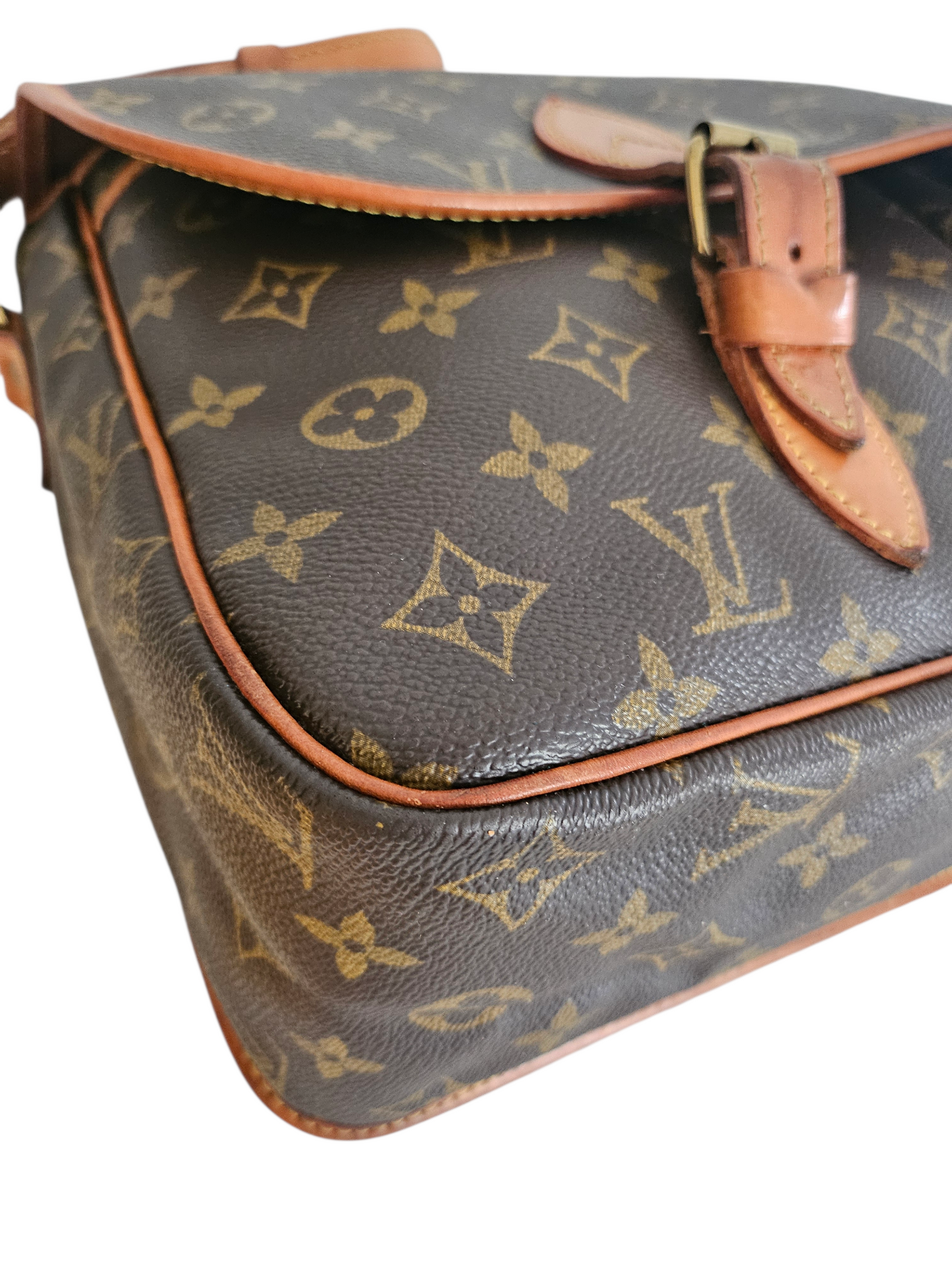 Louis Vuitton Gibeciere GM
