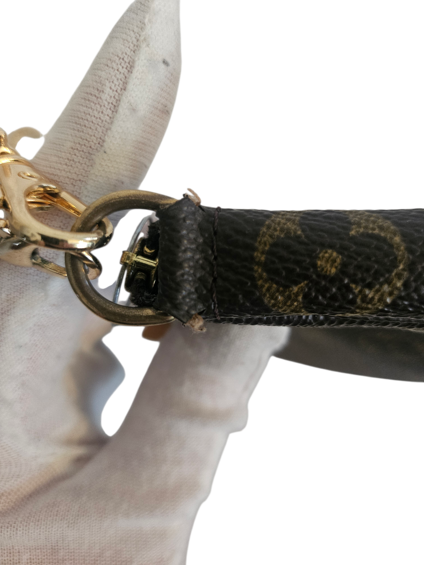 Louis Vuitton Pochette Accessoires