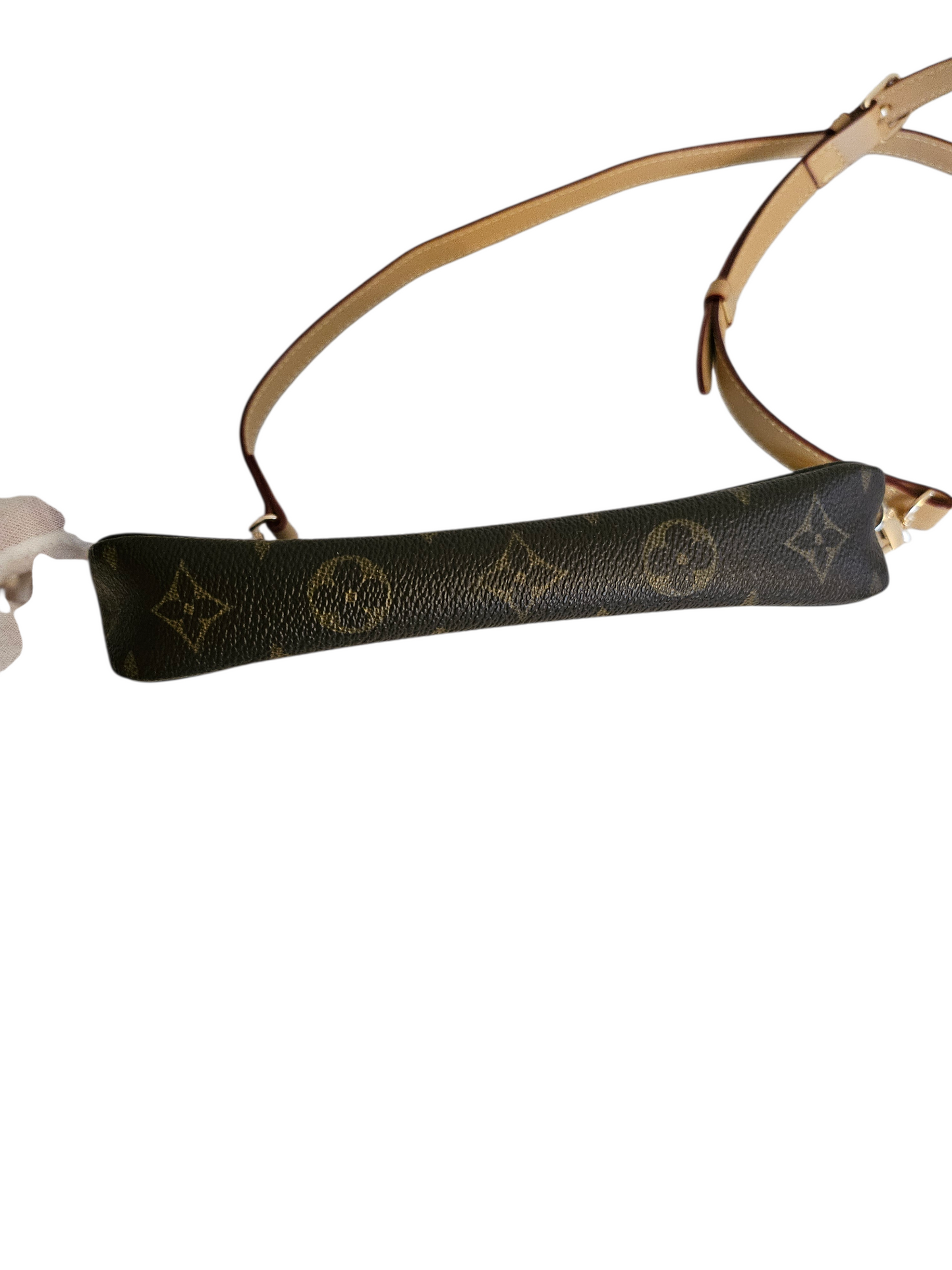 Louis Vuitton Pochette Accessoires