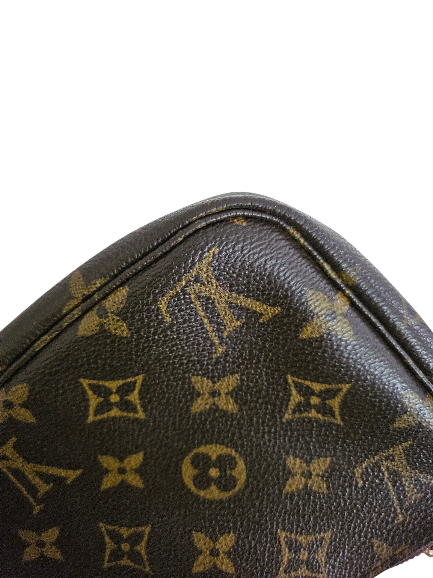 Louis Vuitton Pochette Accessoires