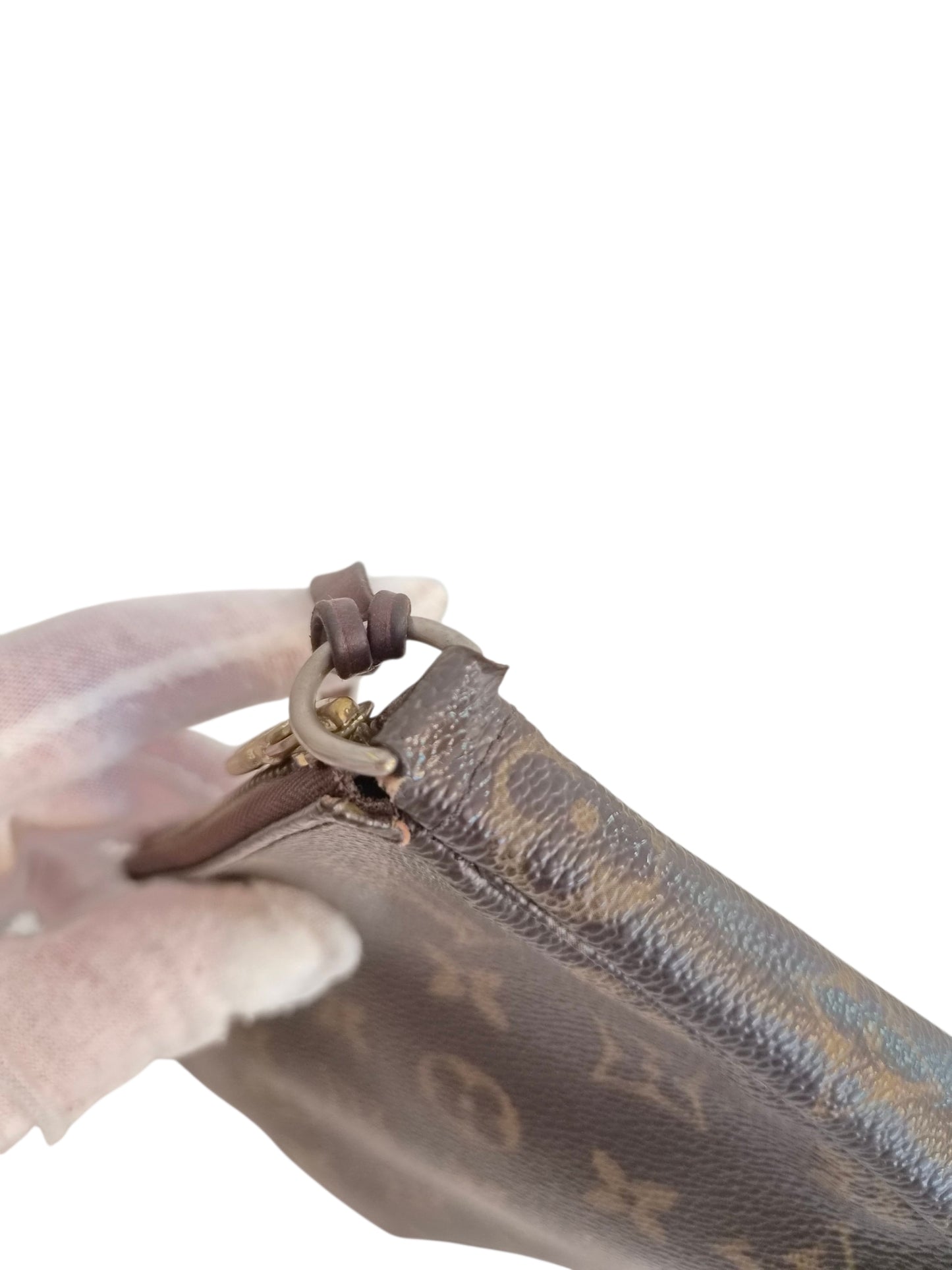 Louis Vuitton Pochette Accessoires