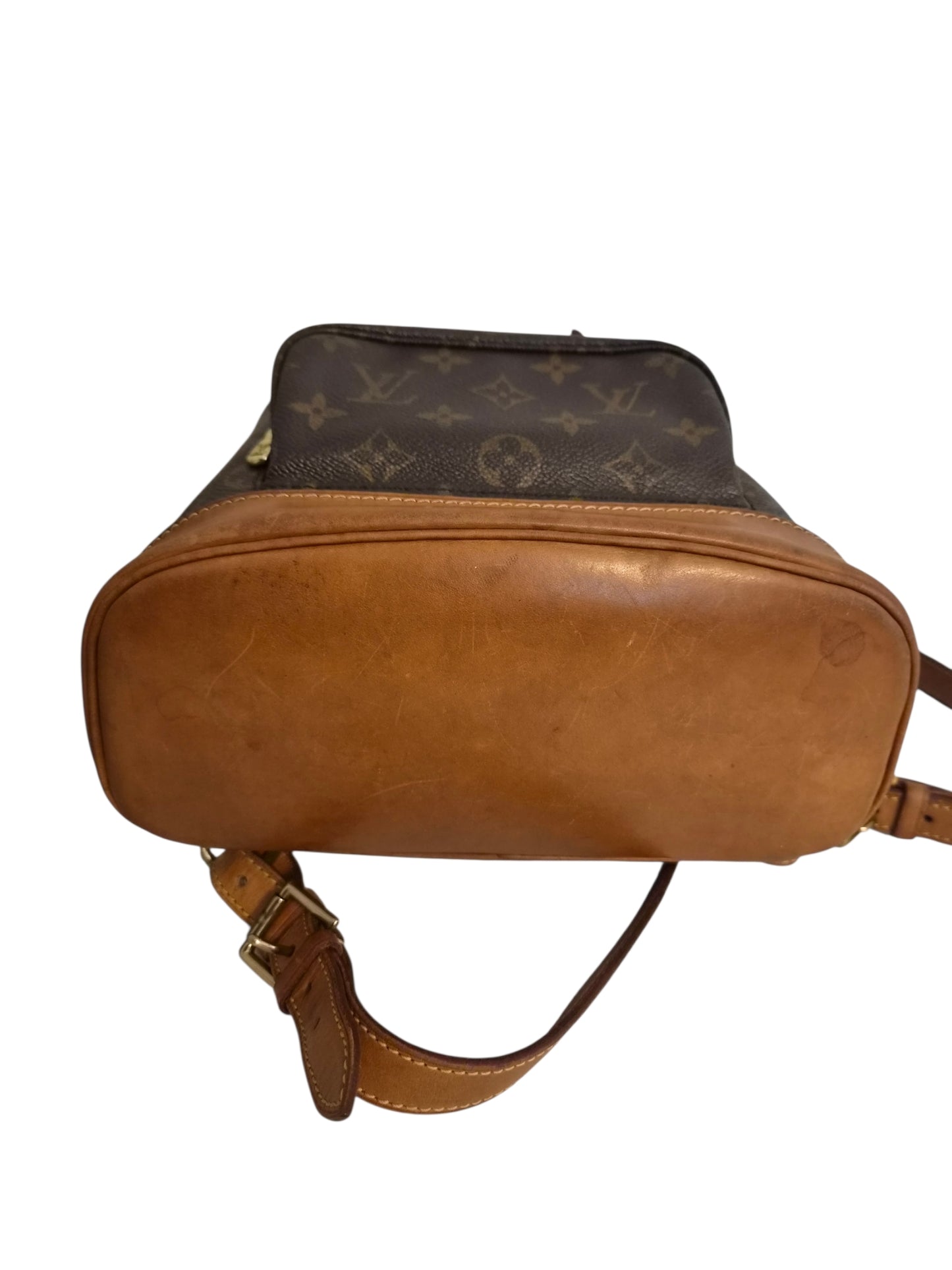 Louis Vuitton Montsouris MM