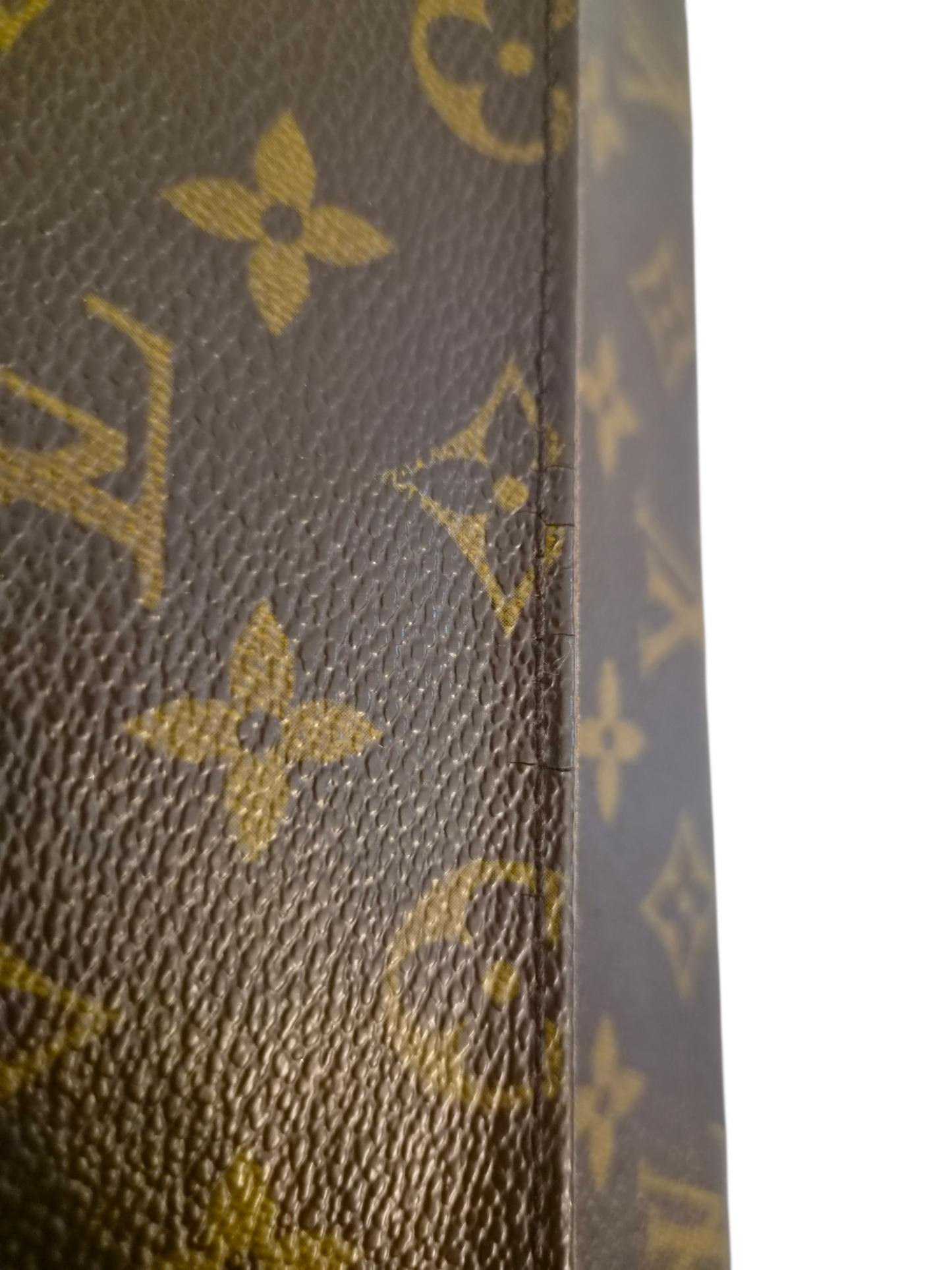 Louis Vuitton Mini Looping