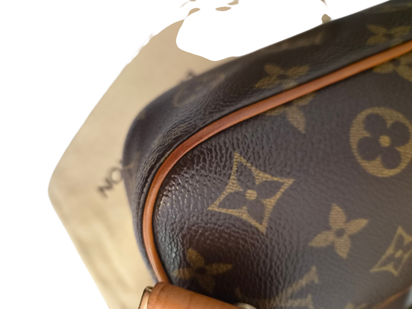 Louis Vuitton Pochette Gange