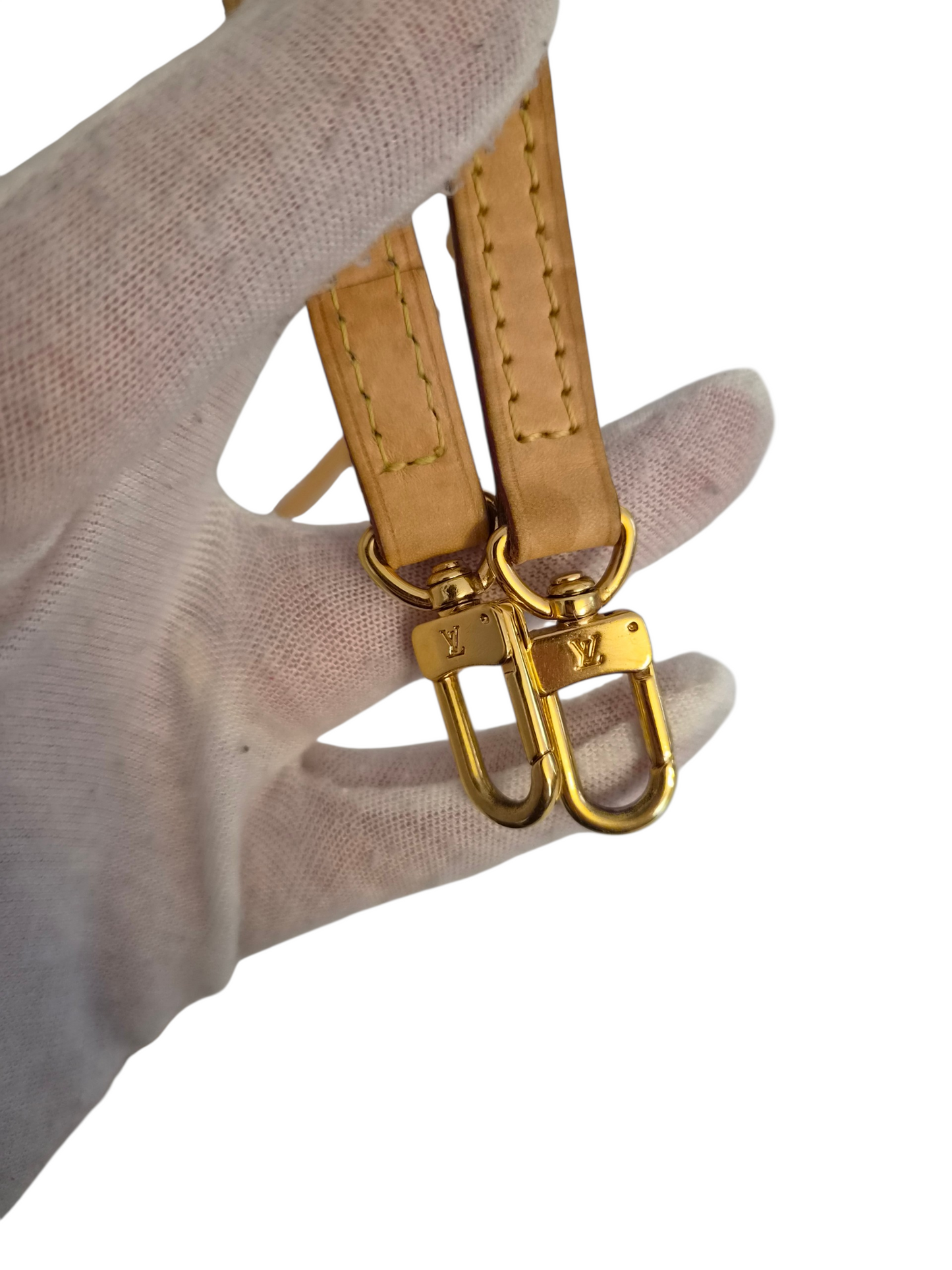 Louis Vuitton Eva Monogram