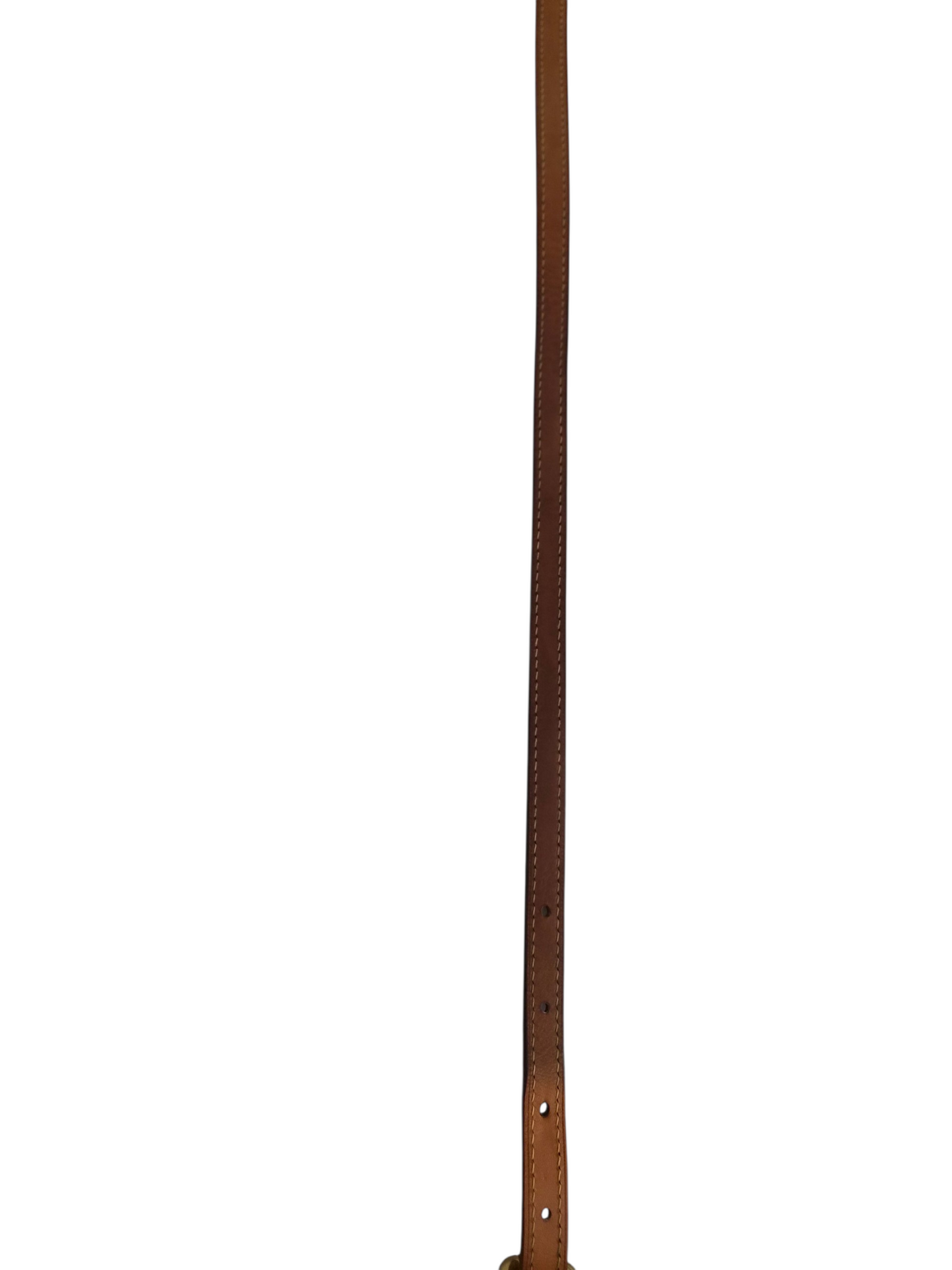 Louis Vuitton adjustable strap