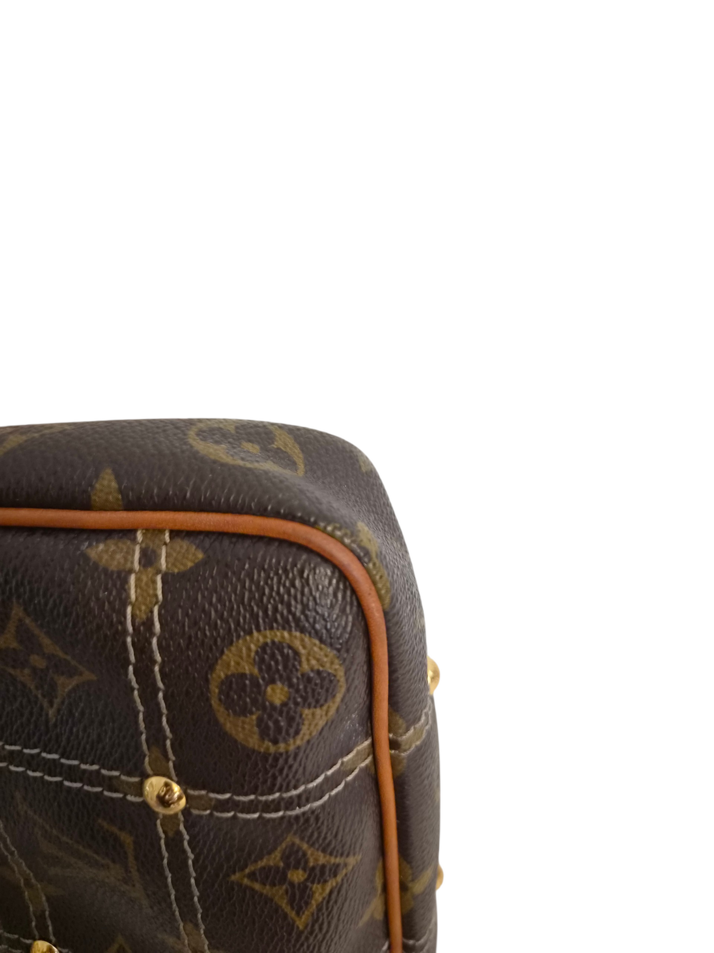 Louis Vuitton Riveting Pochette Accessoires