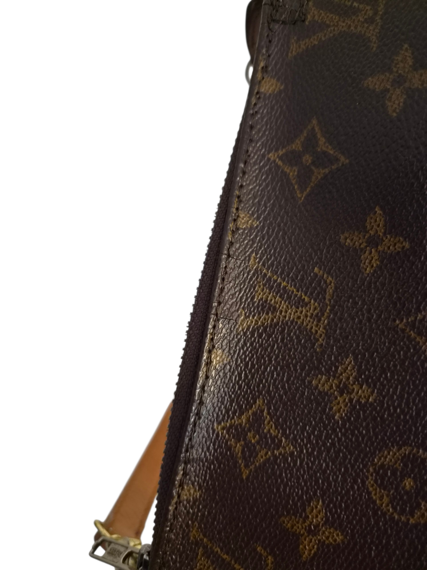 Louis Vuitton Pochette Accessoires