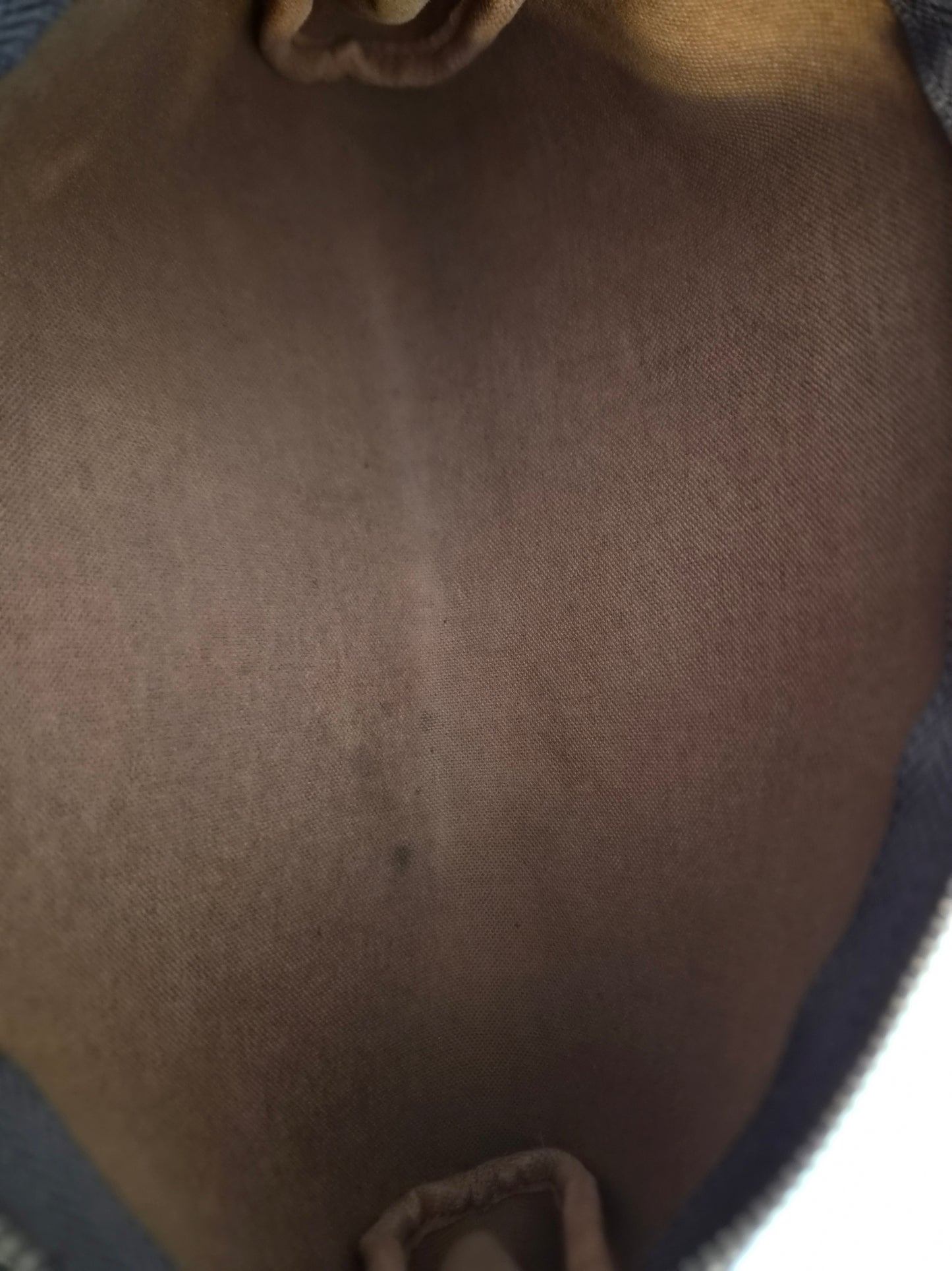 Louis Vuitton Eva Monogram