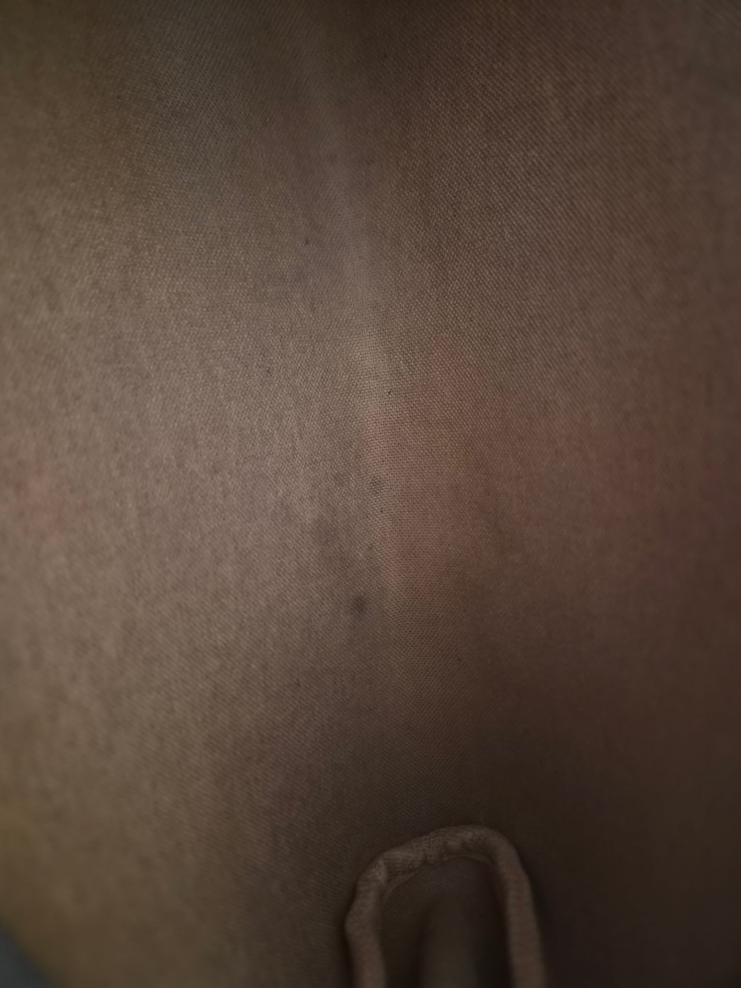 Louis Vuitton Eva Monogram