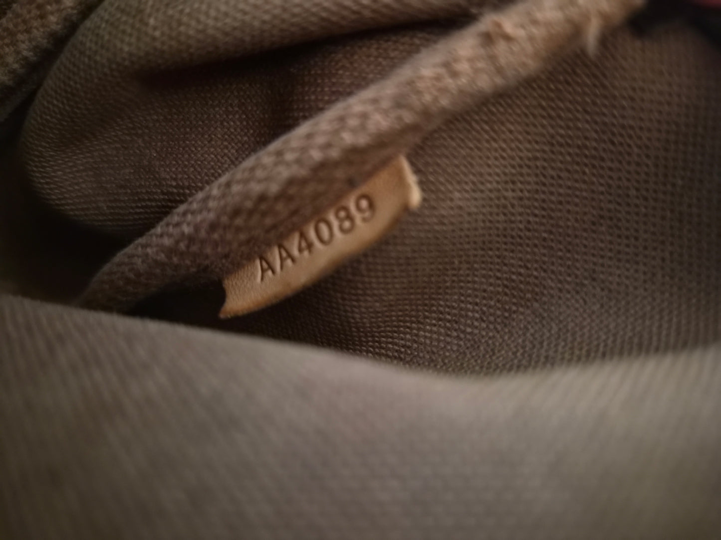 Louis Vuitton Eva Monogram