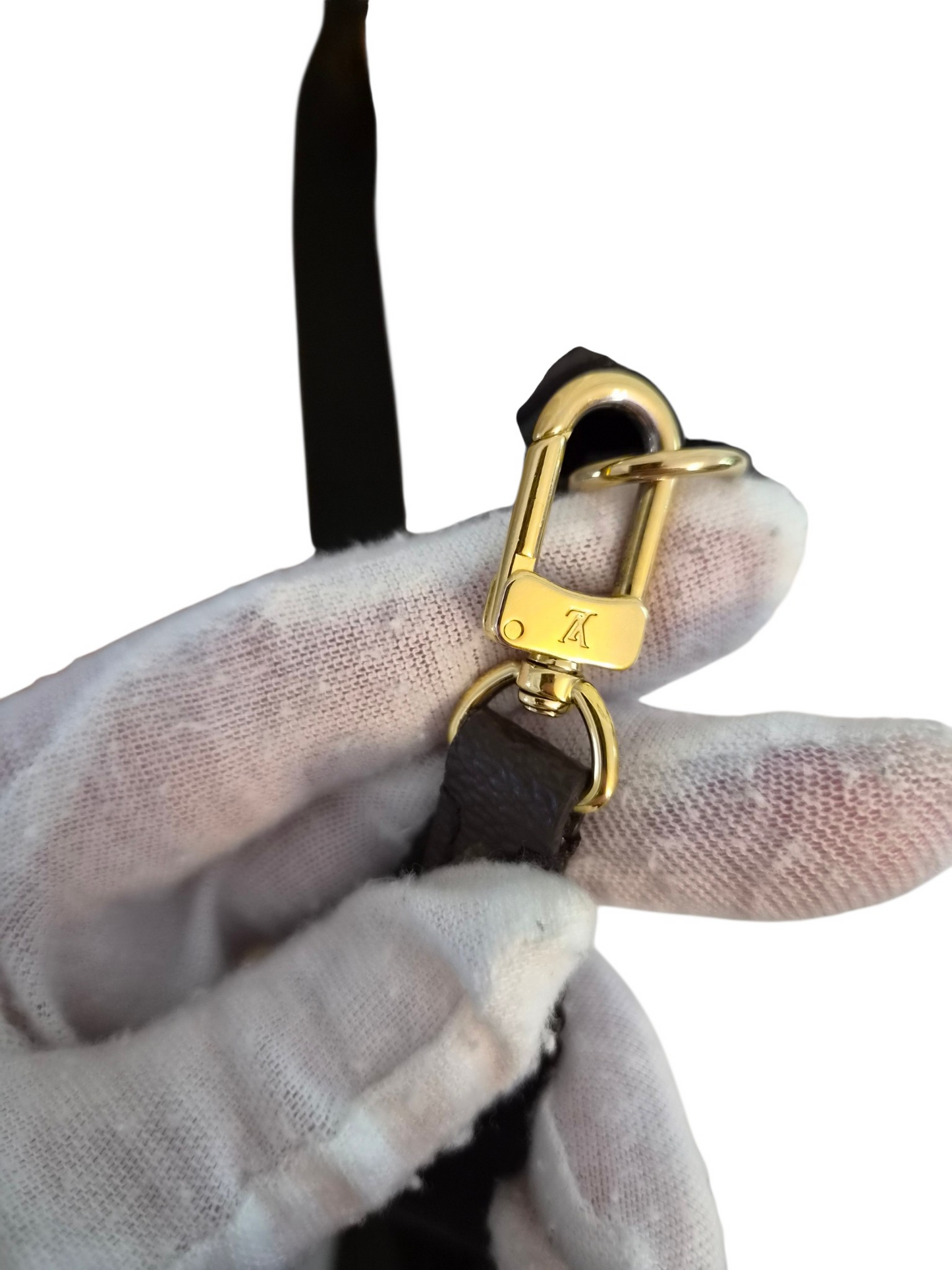 Louis Vuitton Felicie Strap and Go