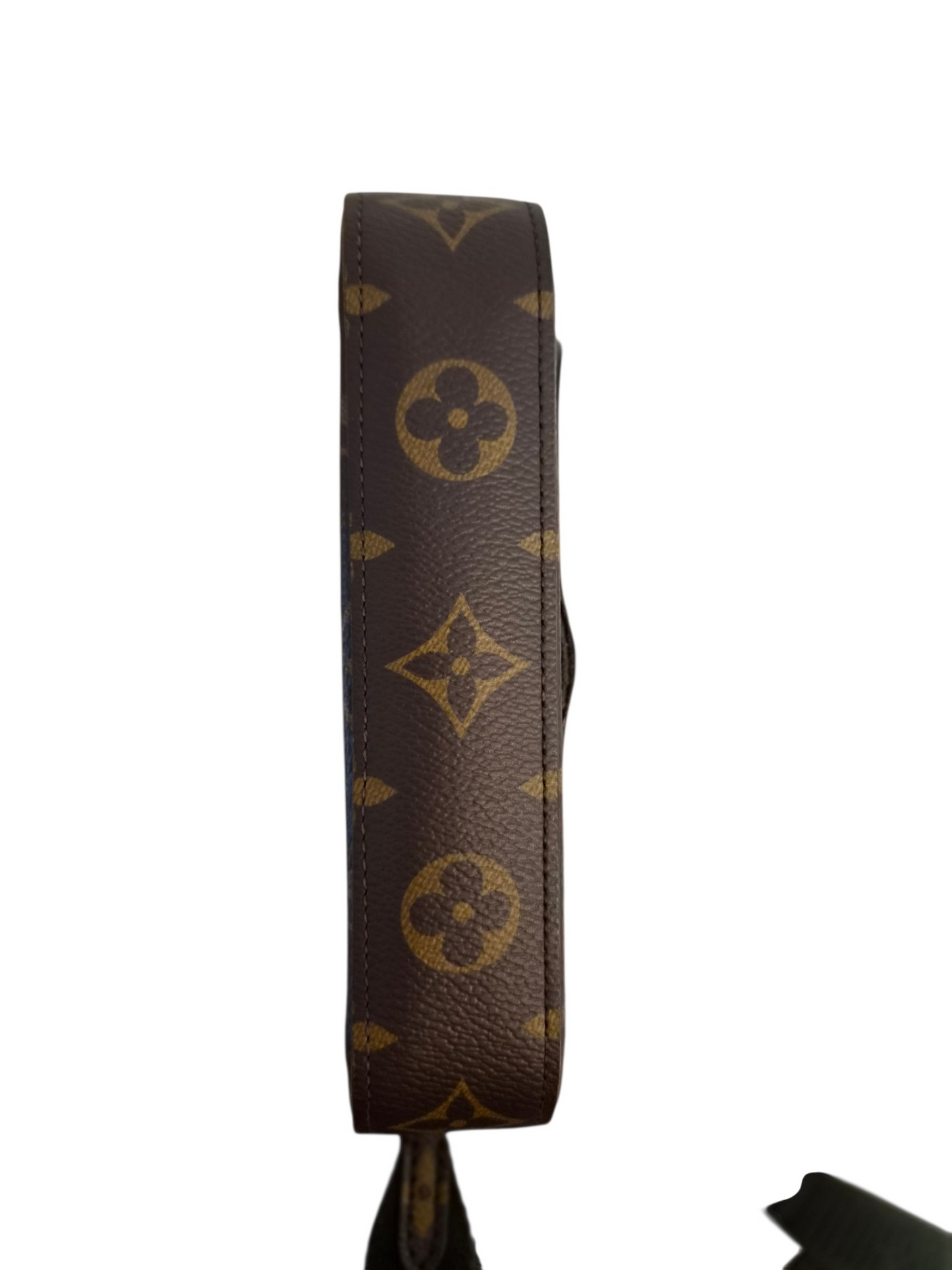 Louis Vuitton Felicie Strap and Go