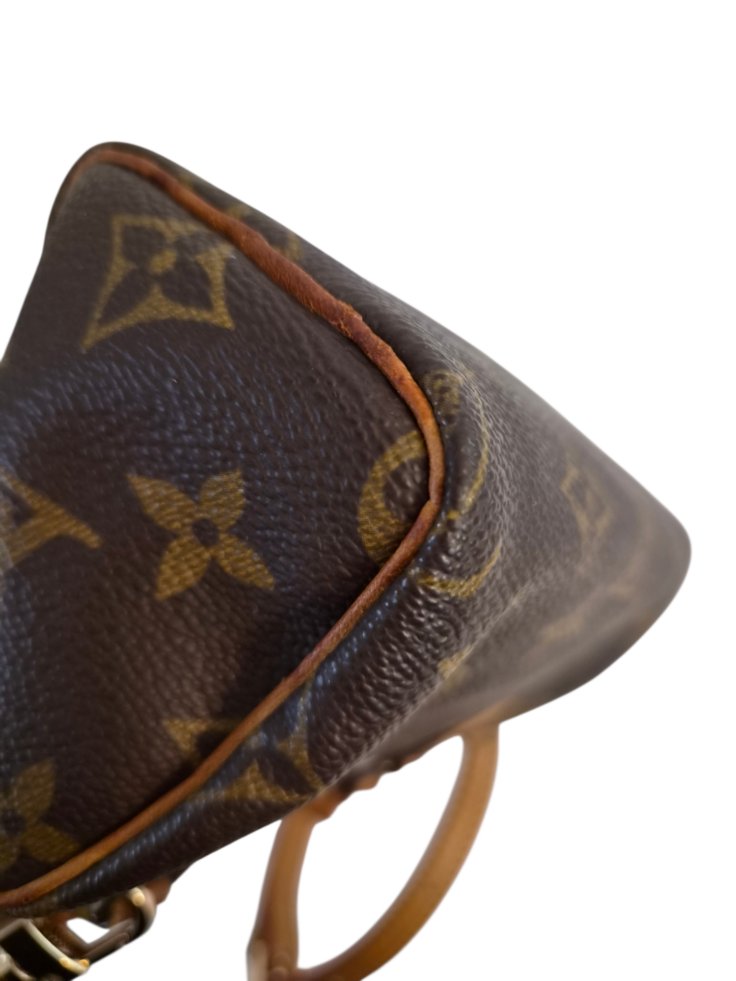 Louis Vuitton Mini Speedy HL