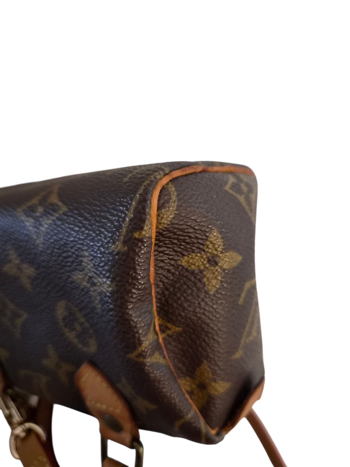 Louis Vuitton Mini Speedy HL