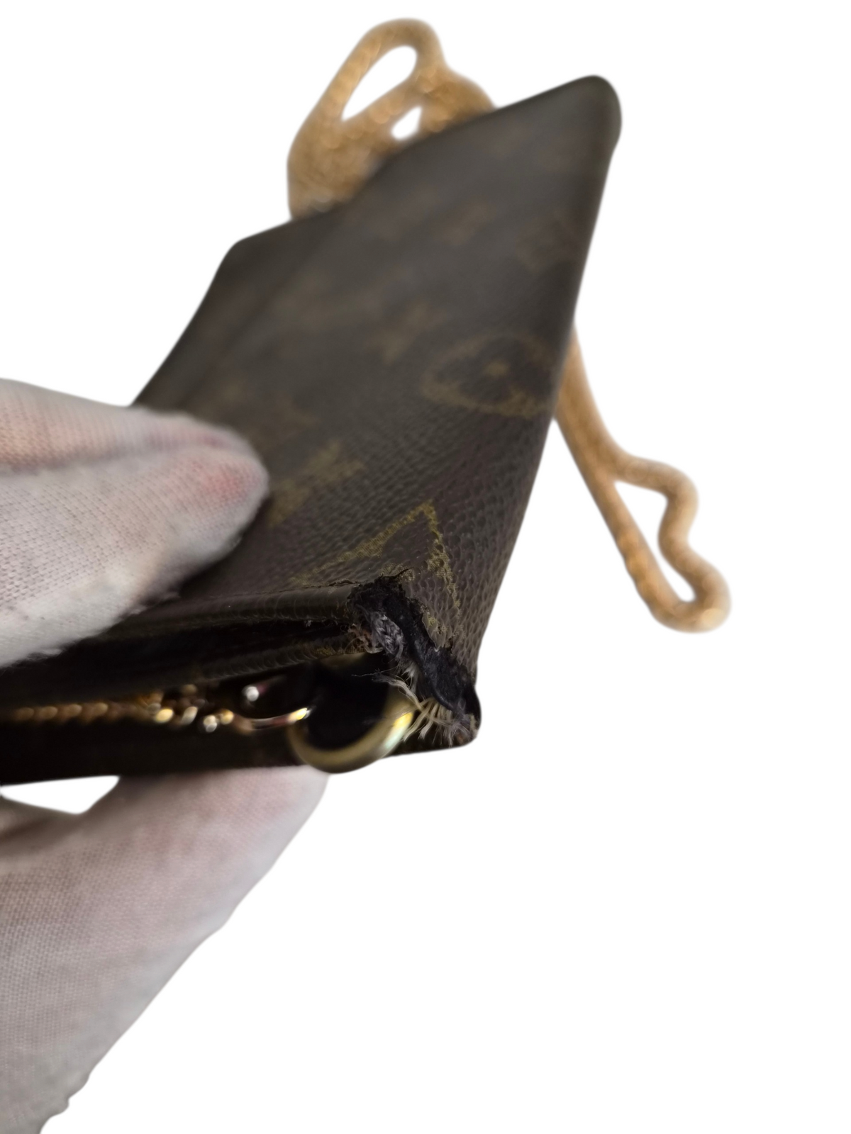 Louis Vuitton pussukka