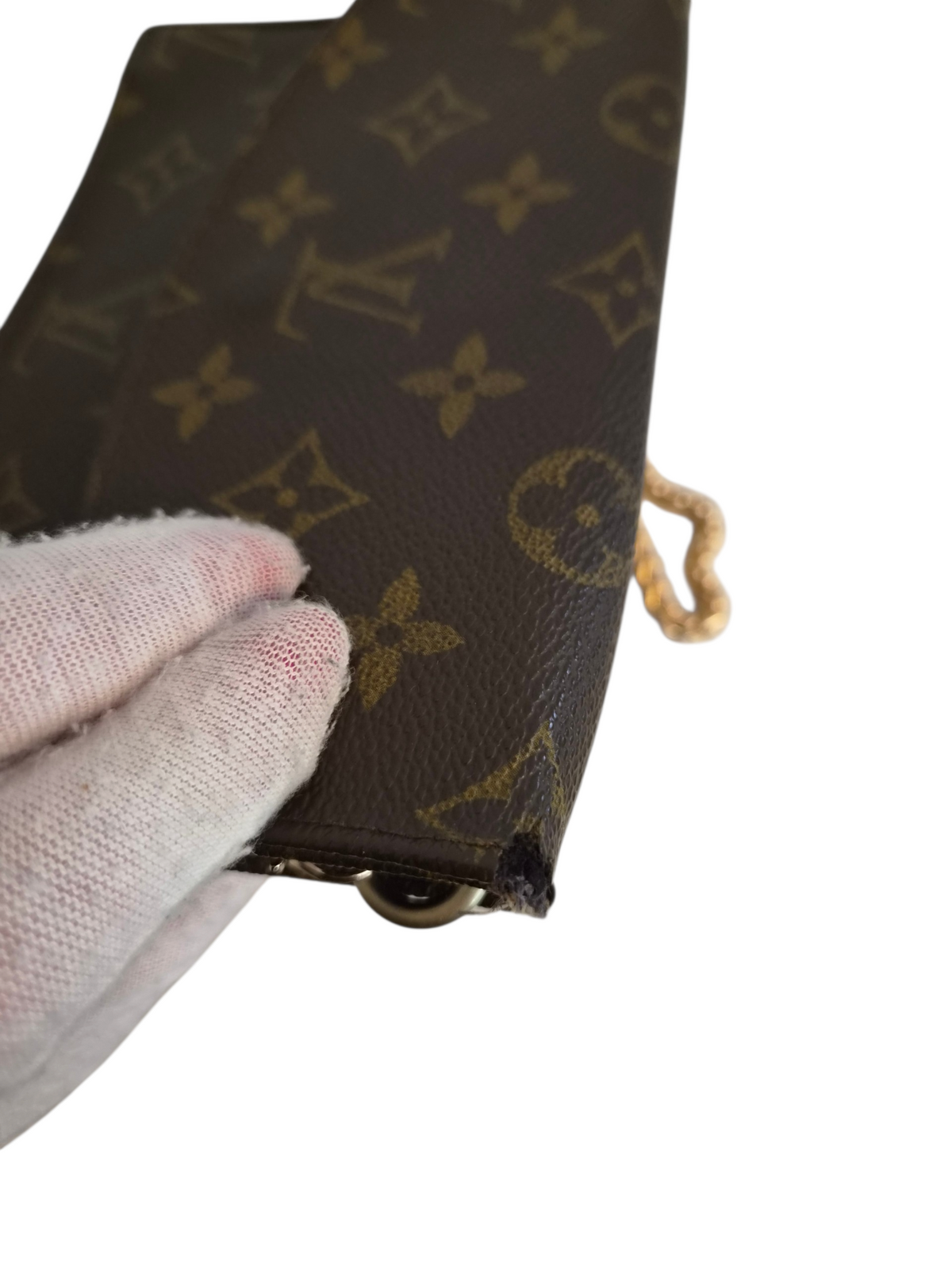 Louis Vuitton pussukka