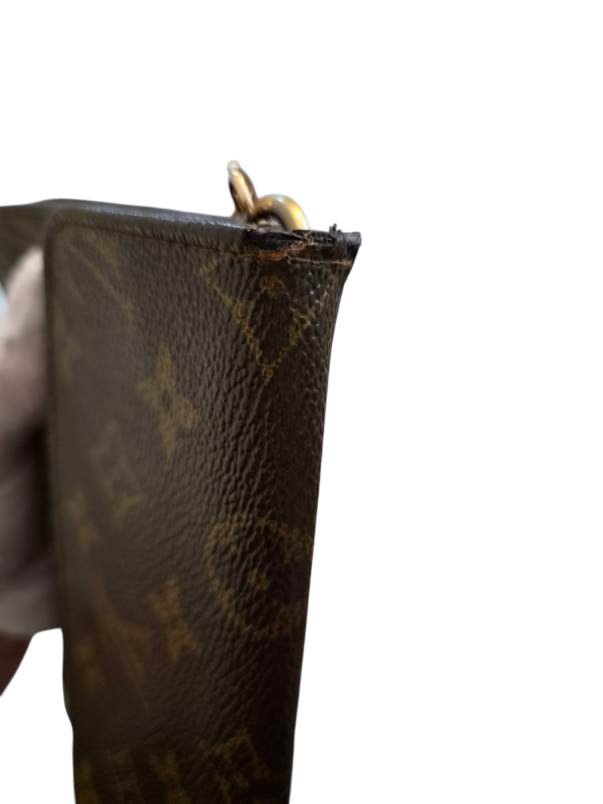 Louis Vuitton pussukka