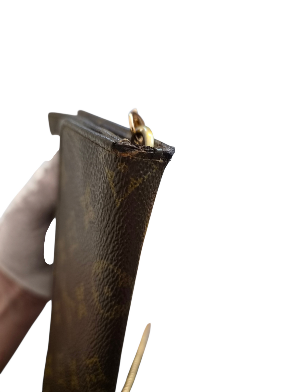 Louis Vuitton pussukka