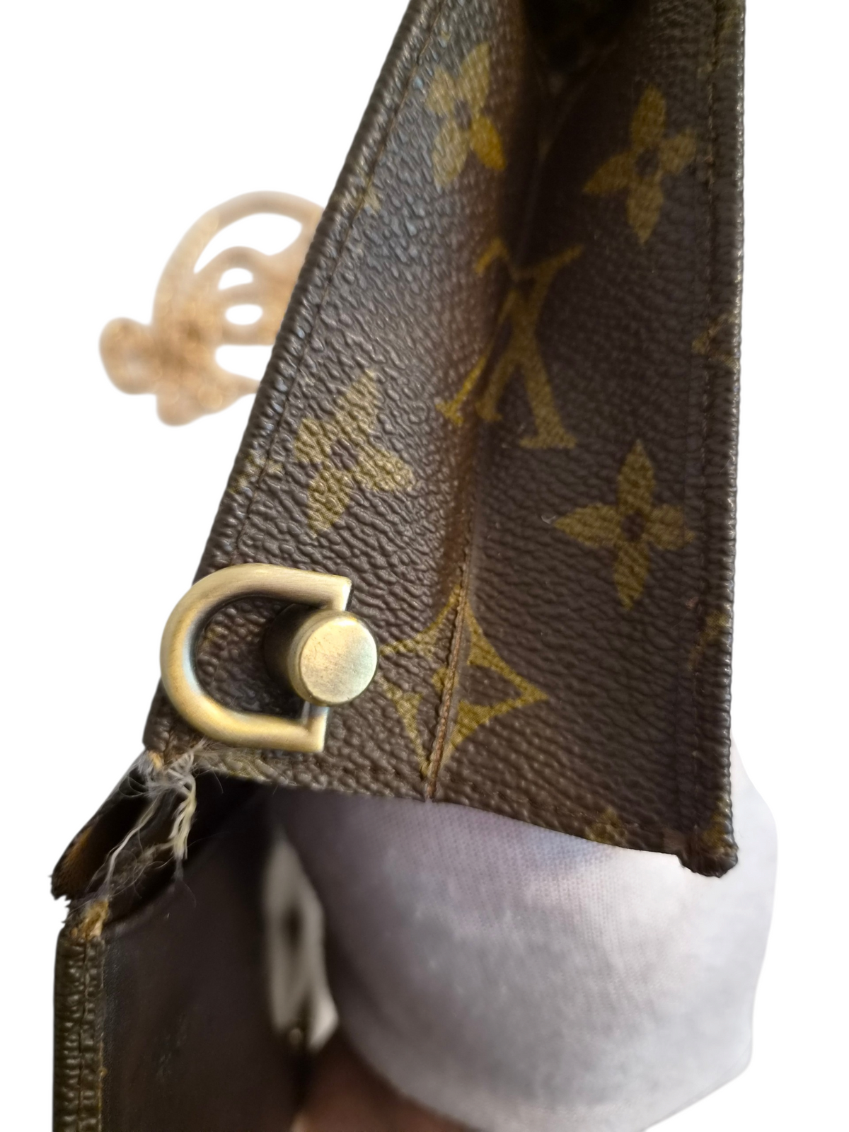 Louis Vuitton pussukka