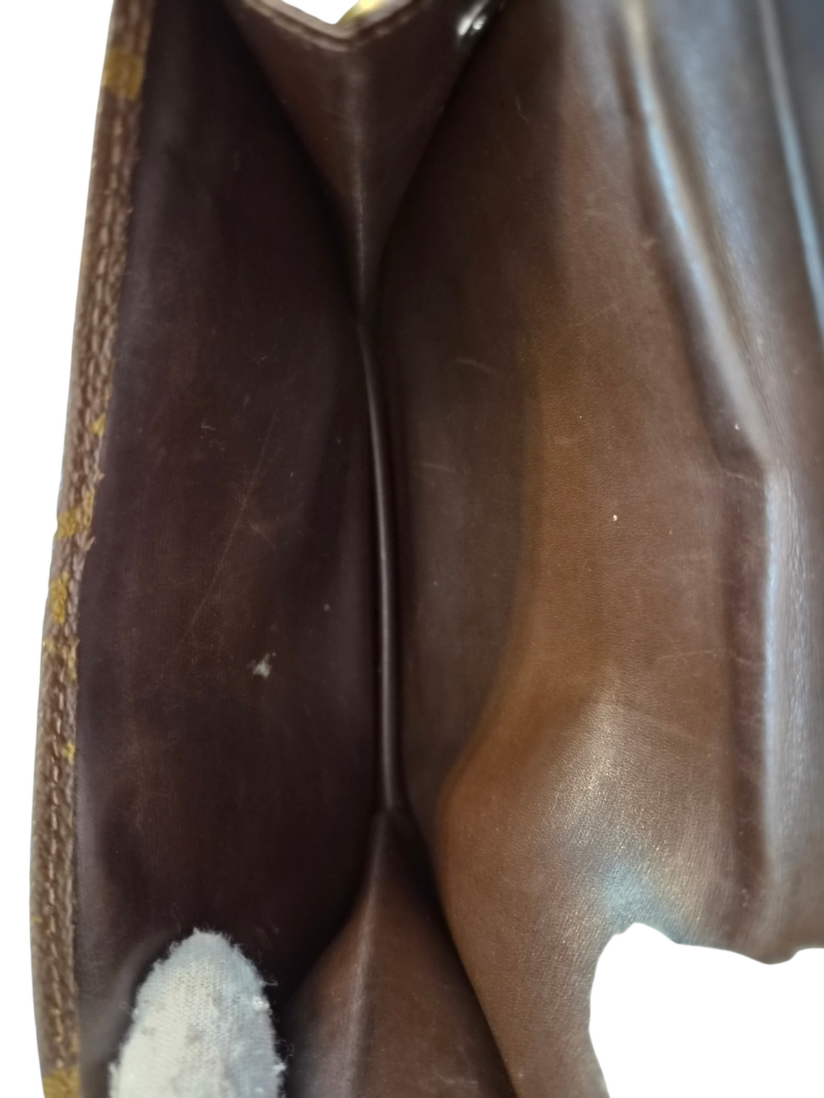 Louis Vuitton pussukka