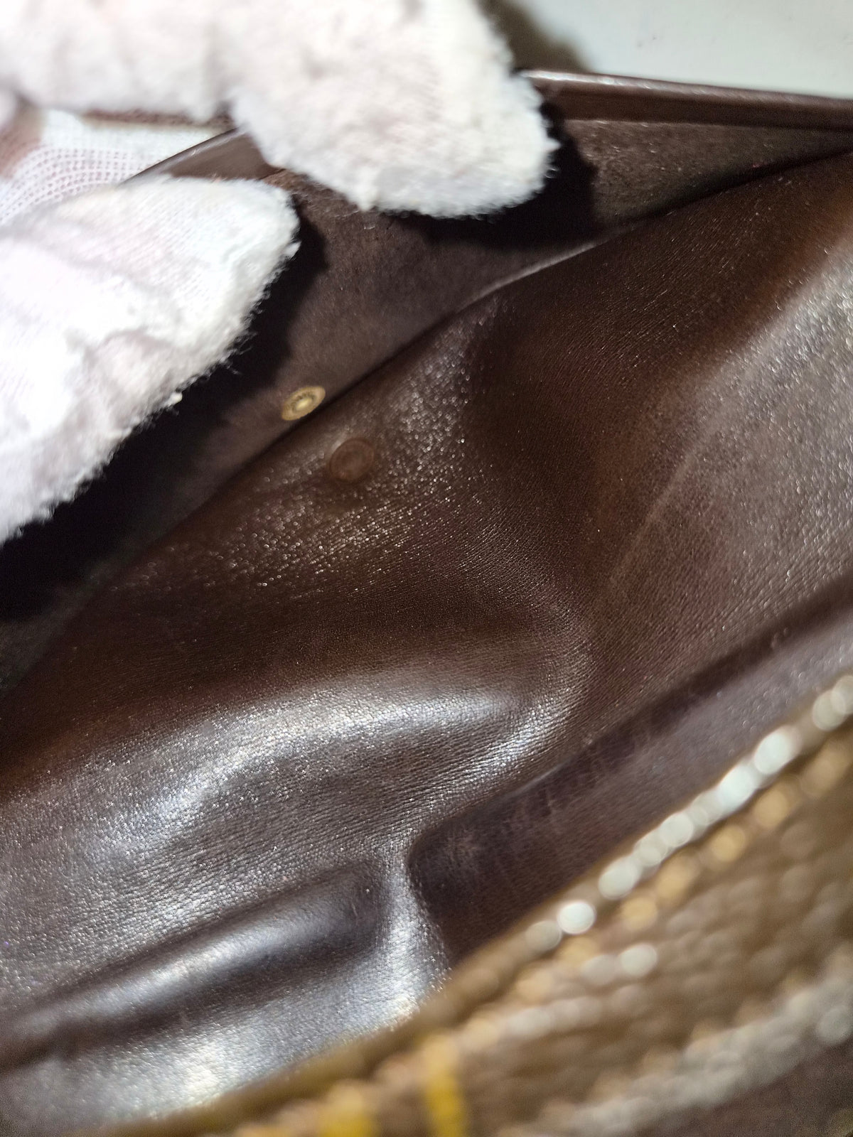 Louis Vuitton pussukka