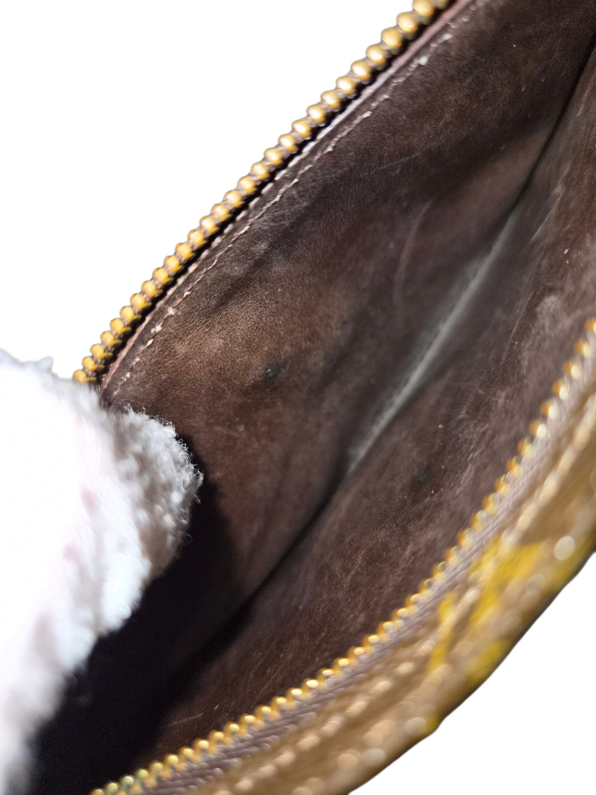 Louis Vuitton pussukka