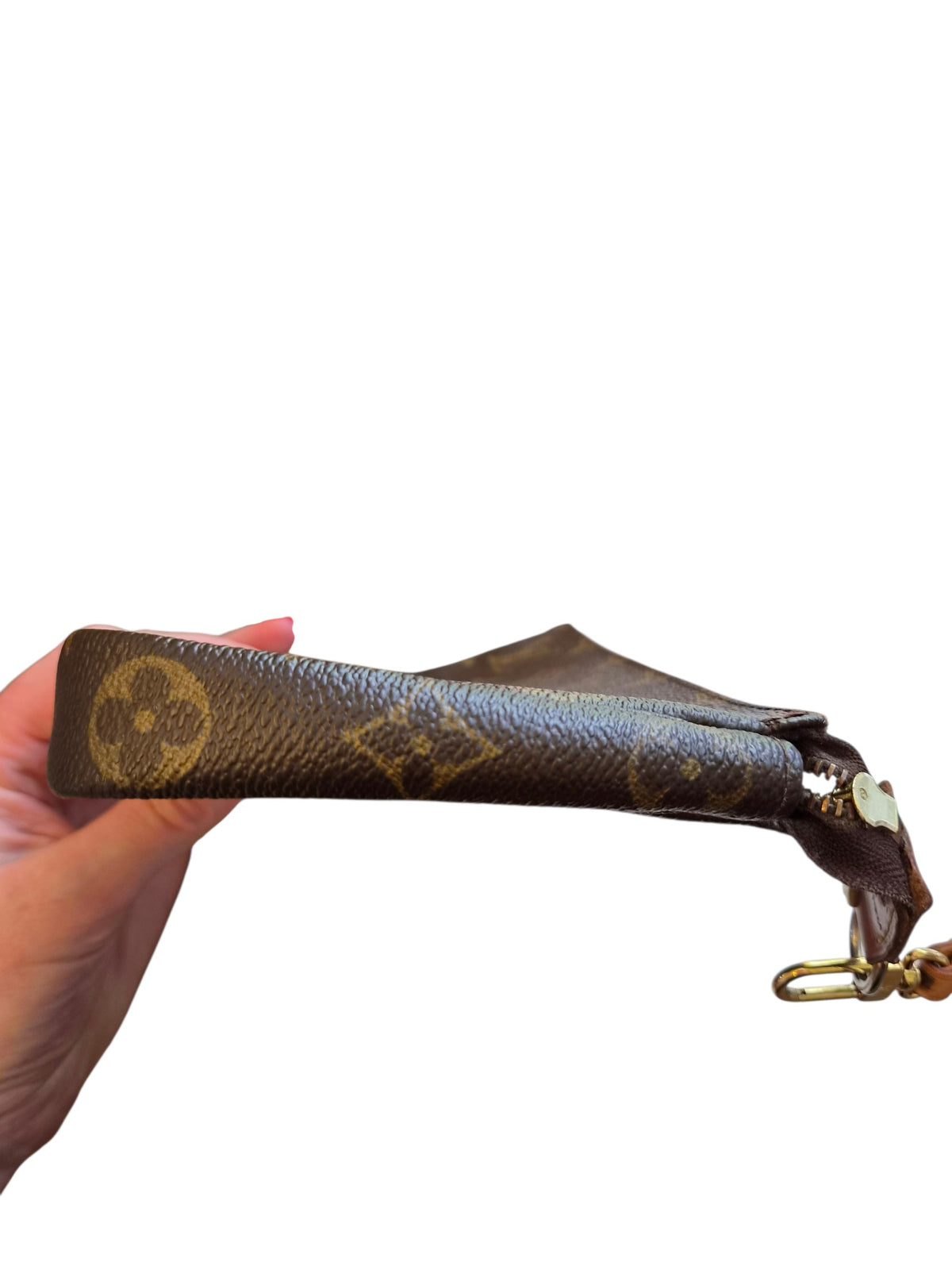 Louis Vuitton Pochette Accessoires