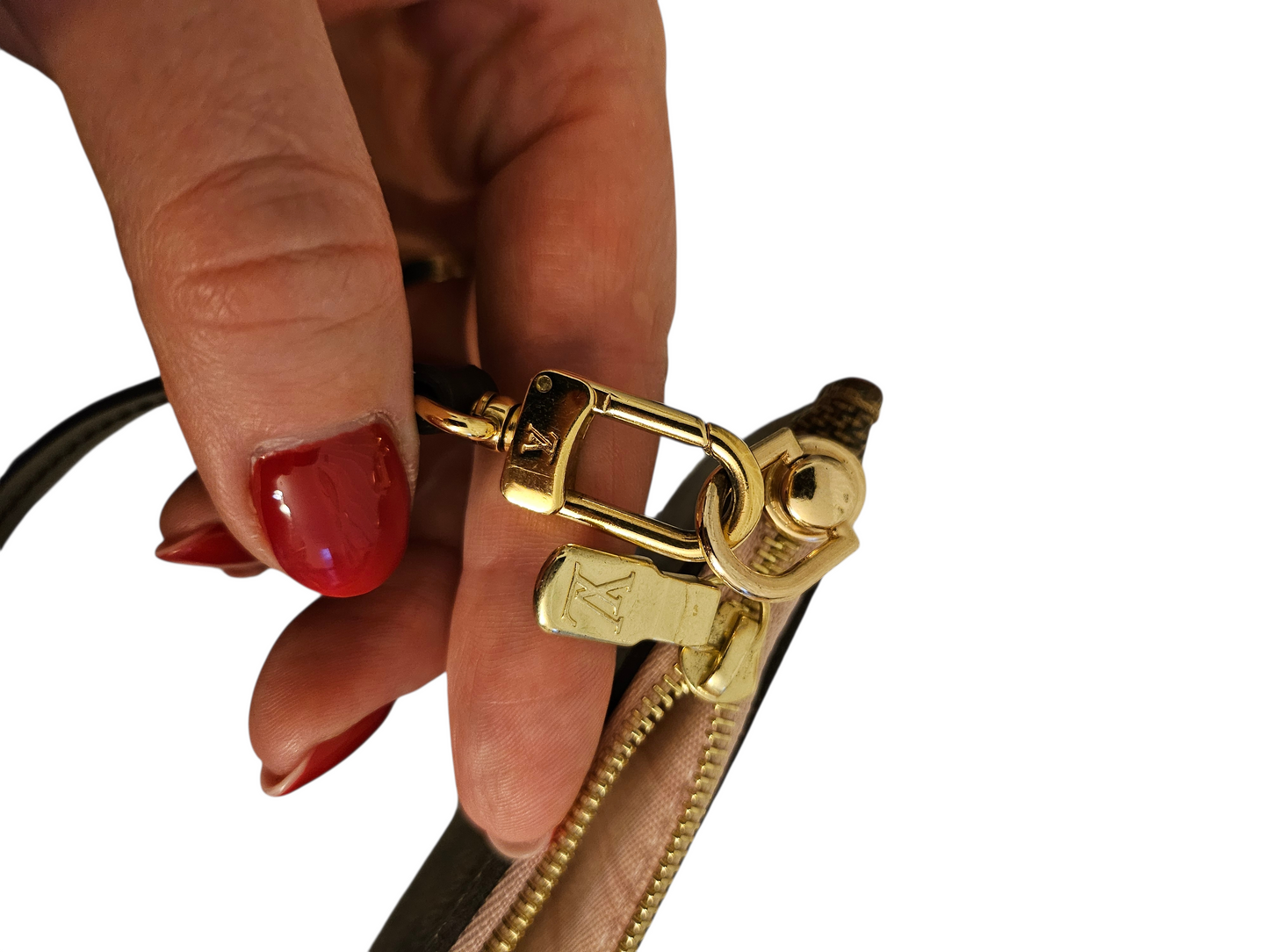 Louis Vuitton Neverfull Pochette