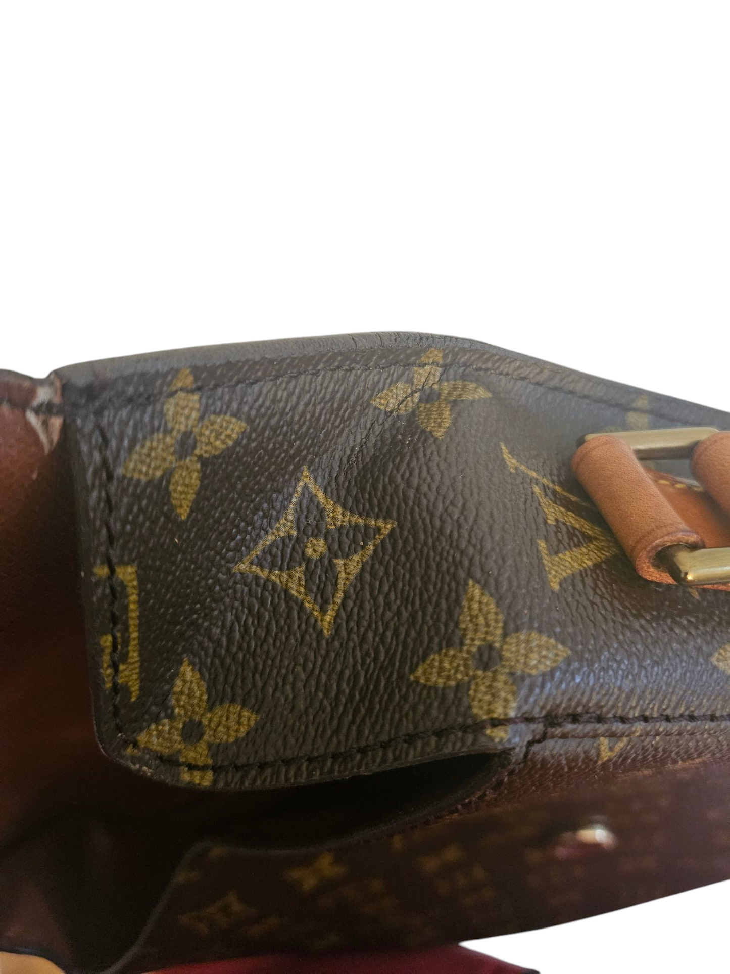 Louis Vuitton Saint Cloud GM