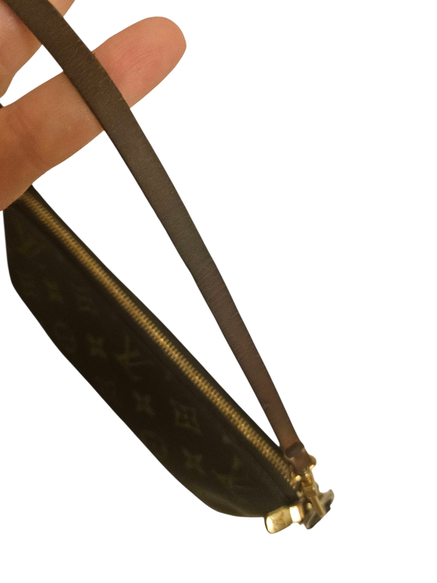 Louis Vuitton Pochette Accessoires