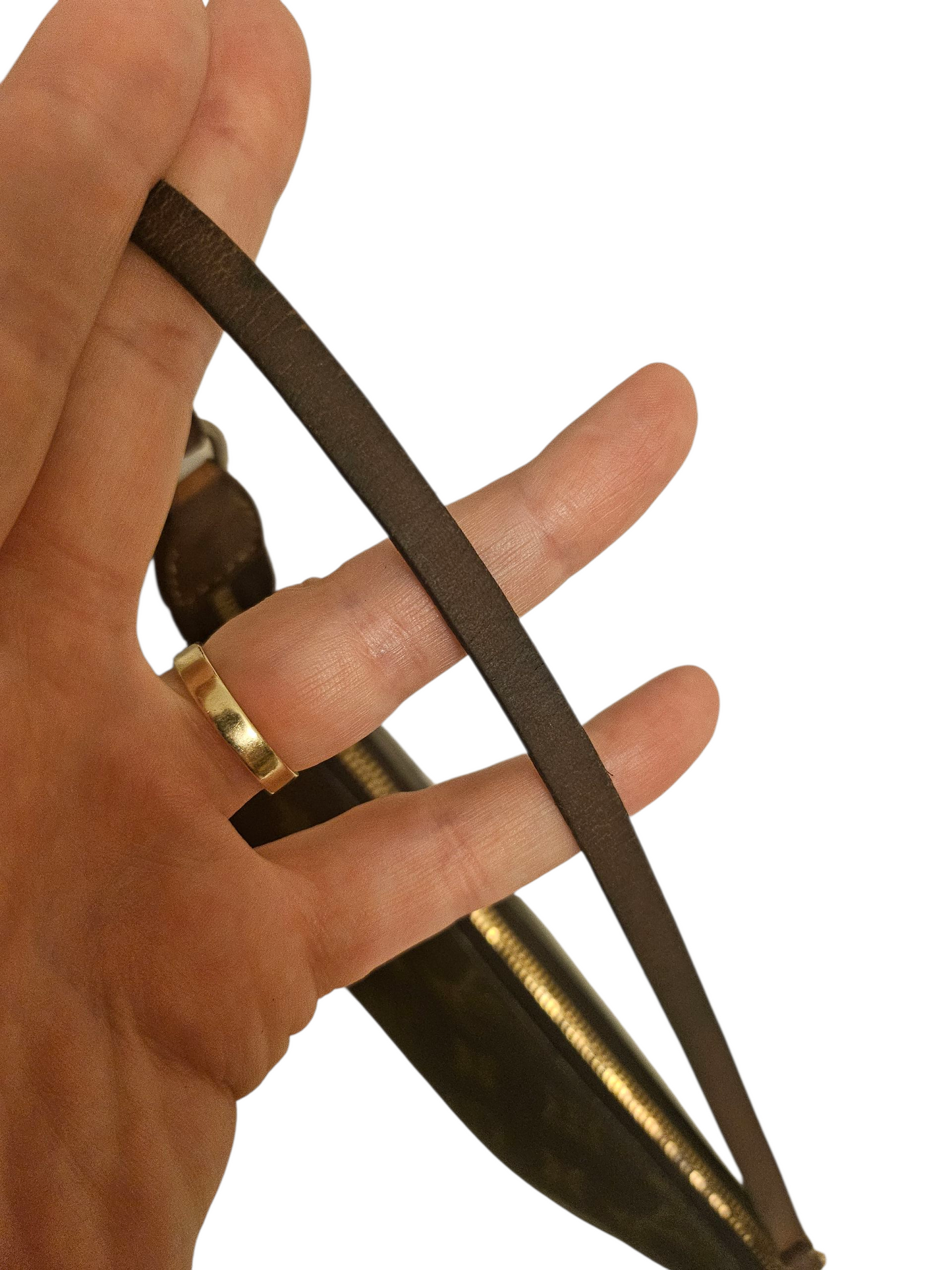 Louis Vuitton Pochette Accessoires