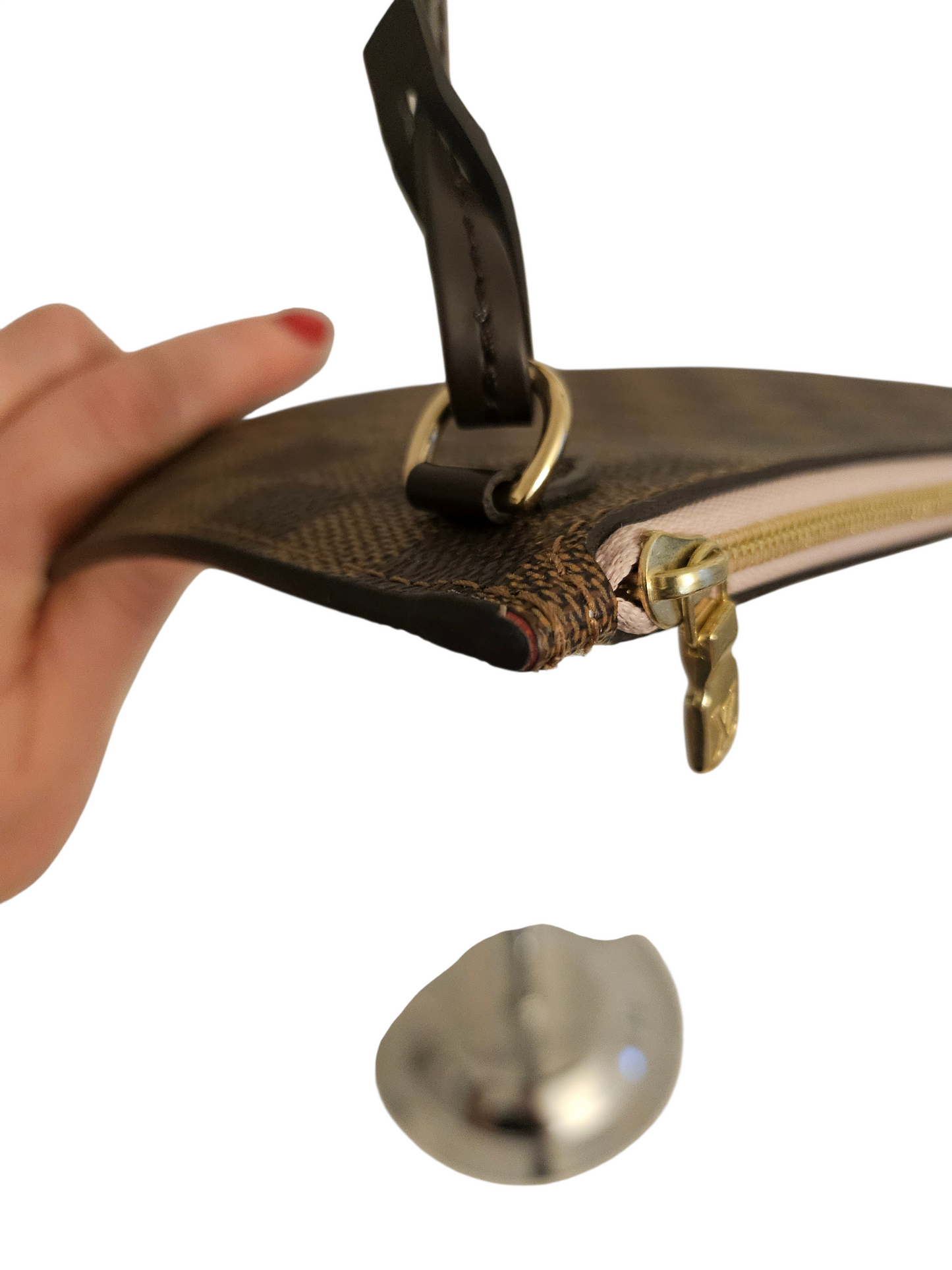 Louis Vuitton Neverfull Pochette