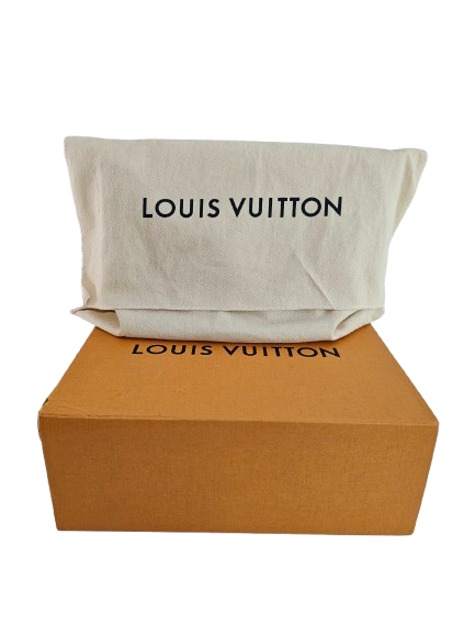 Louis Vuitton Sologne Multicolor