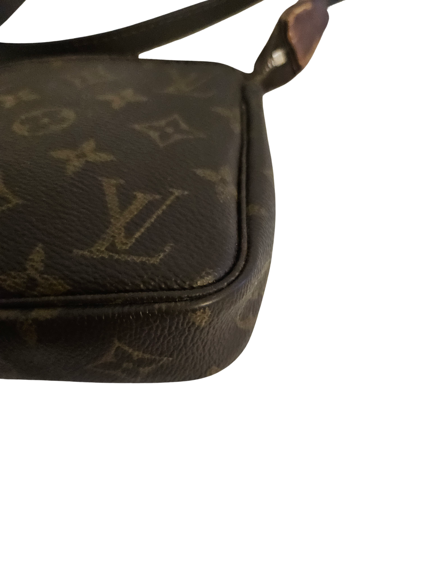 Louis Vuitton Pochette Accessoires