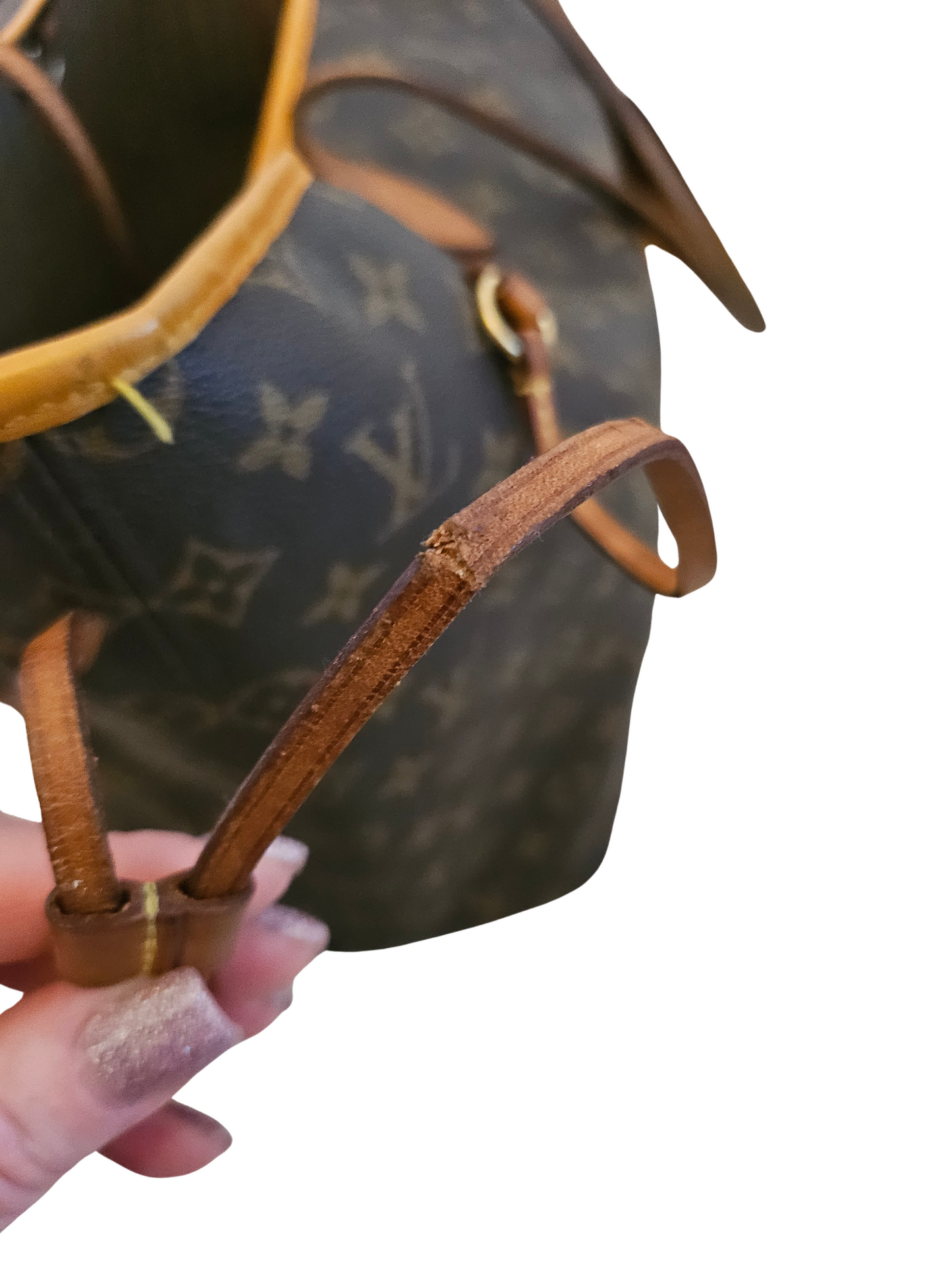 Louis Vuitton Neverfull GM